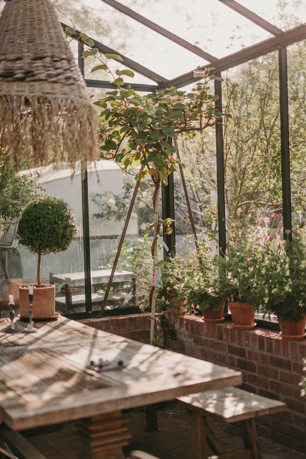 Sunlit greenhouse interior with potted plants on brick ledges and glass panels casting dappled shadows throughout the space.