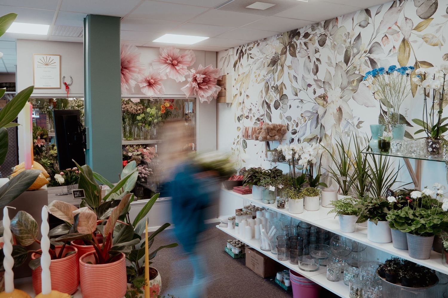 Interior view of a plant-filled room with floral wallpaper and modern office decor.