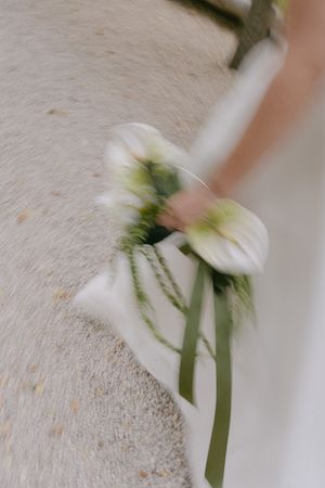 Artistic blur of white wedding bouquet flowers with green stems.