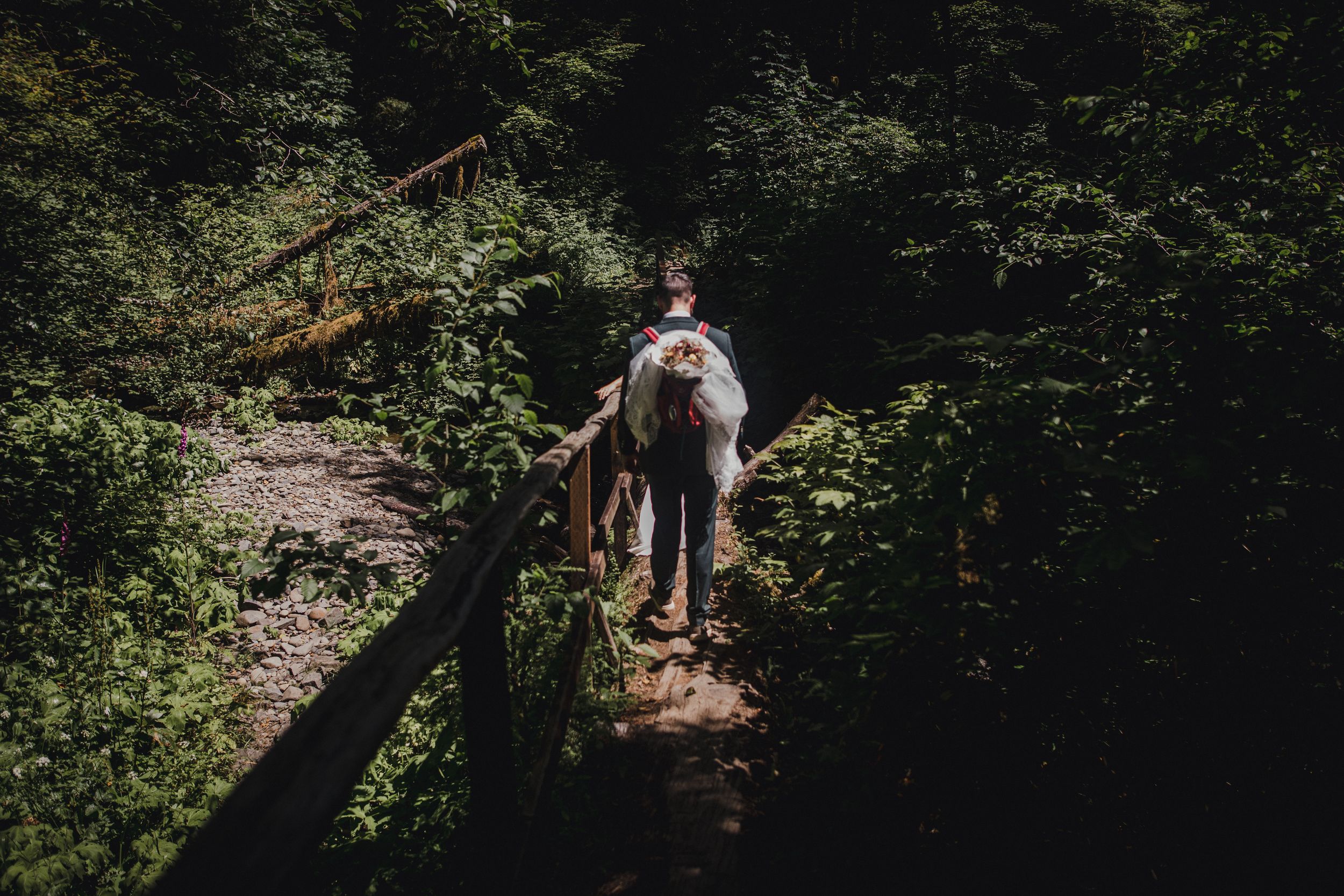 A rider on a white horse traverses a narrow wooded trail path surrounded by lush forest vegetation.
