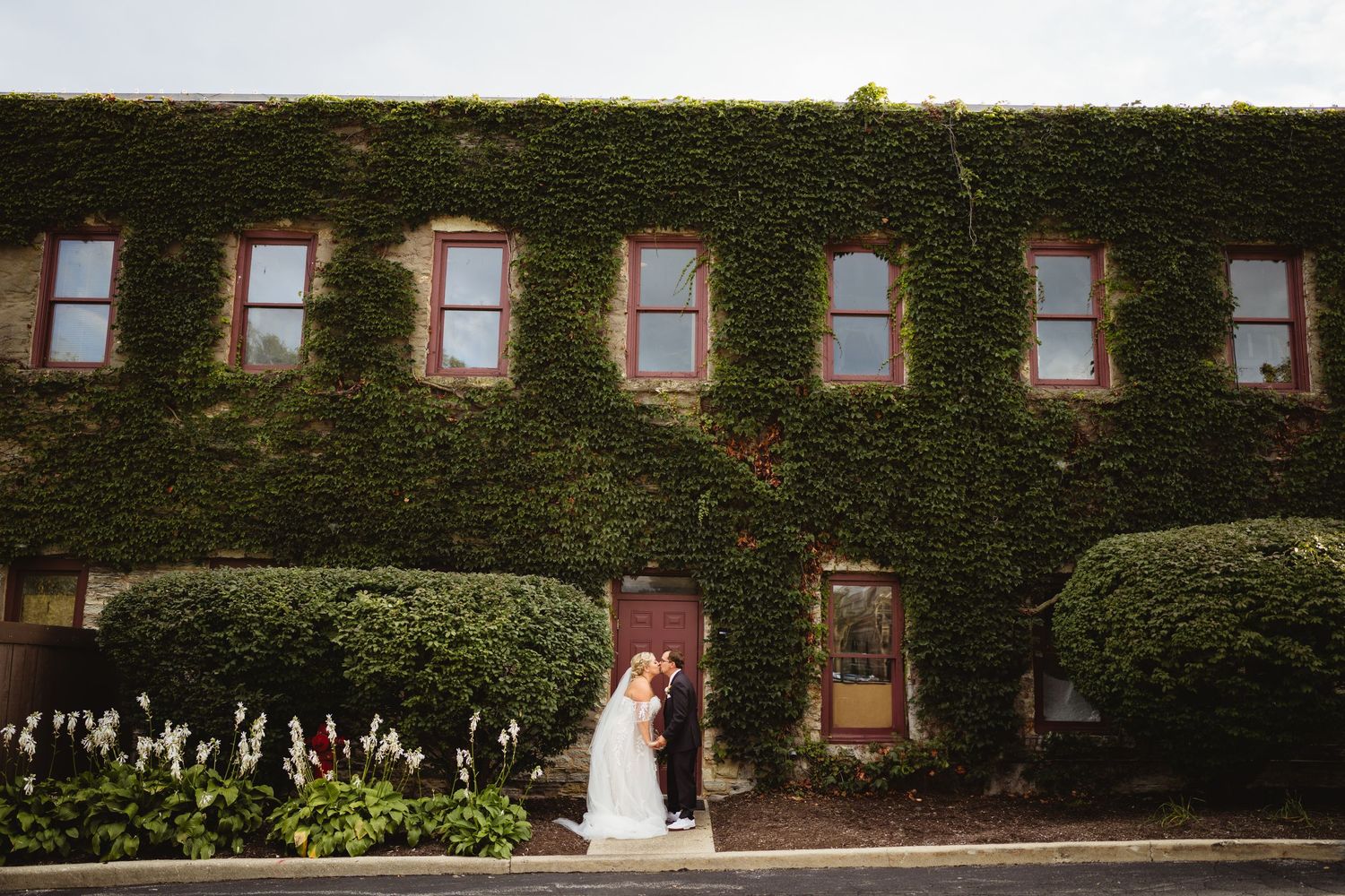 Ancient brick building facade with lush green ivy growing up the walls creating a stunning organic pattern.