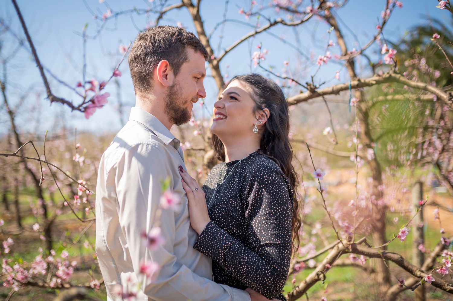 A romantic couple embraces among blooming cherry blossoms in a spring garden setting.
