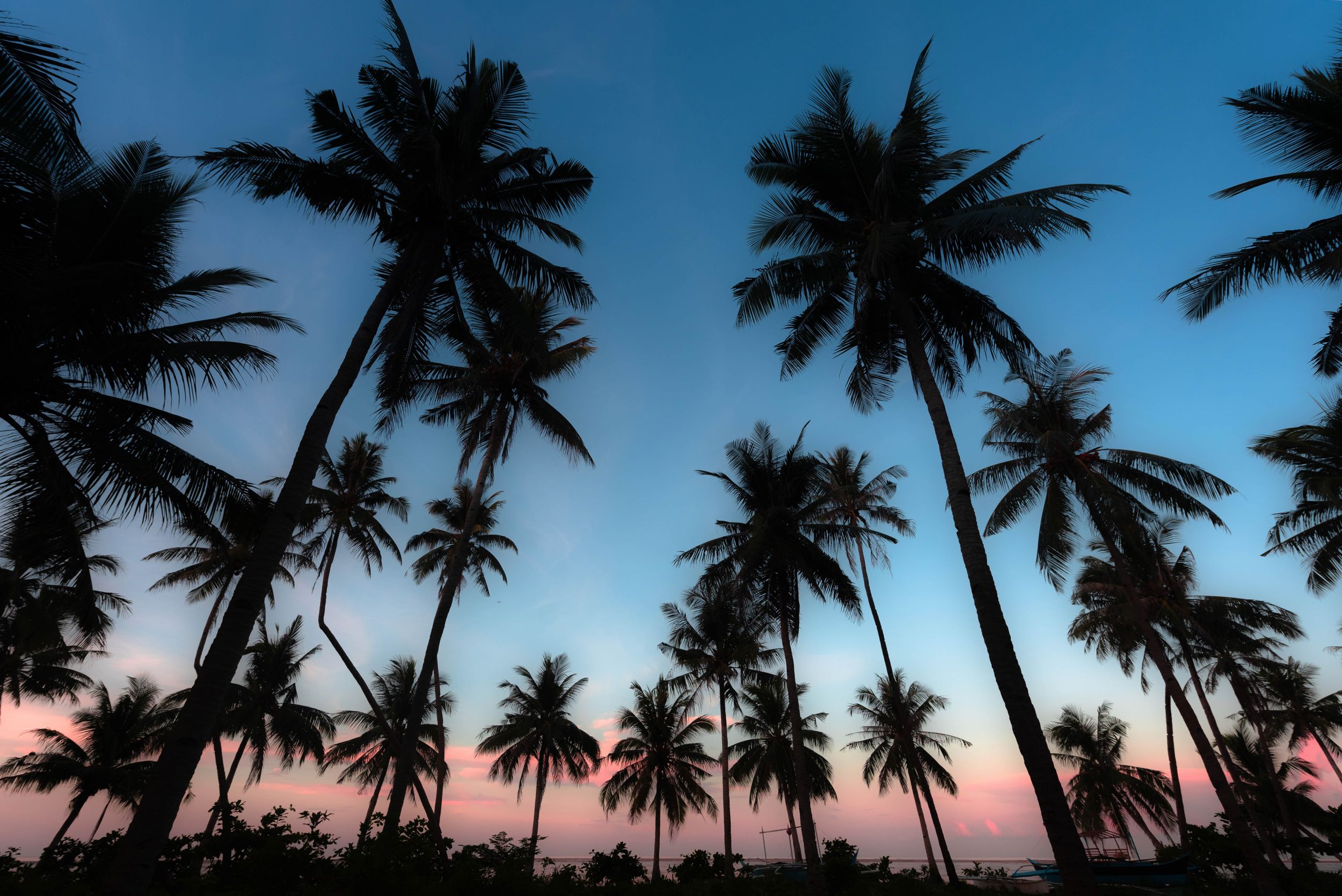 Siargao Surf Photographer, Surfing Photo and Video Sessions. Real Estate, Food, Products, Lifestyle. Postcards. Prints. Photo Stock, Siargao