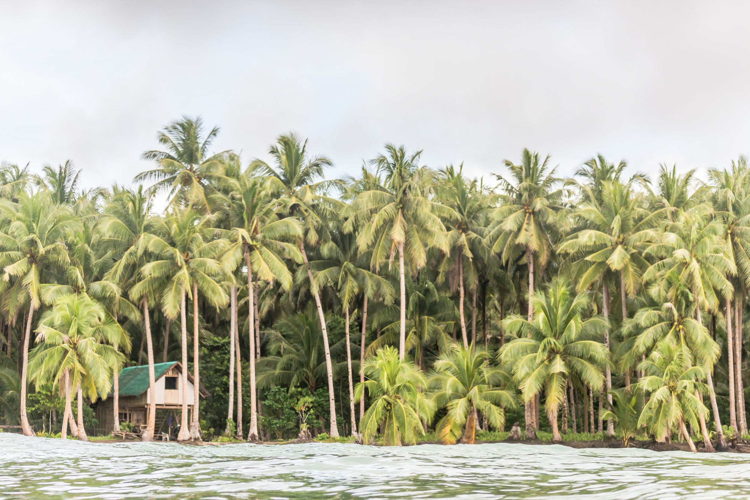Siargao Surf Photographer, Surfing Photo and Video Sessions. Real Estate, Food, Products, Lifestyle. Postcards. Prints. Photo Stock, Siargao