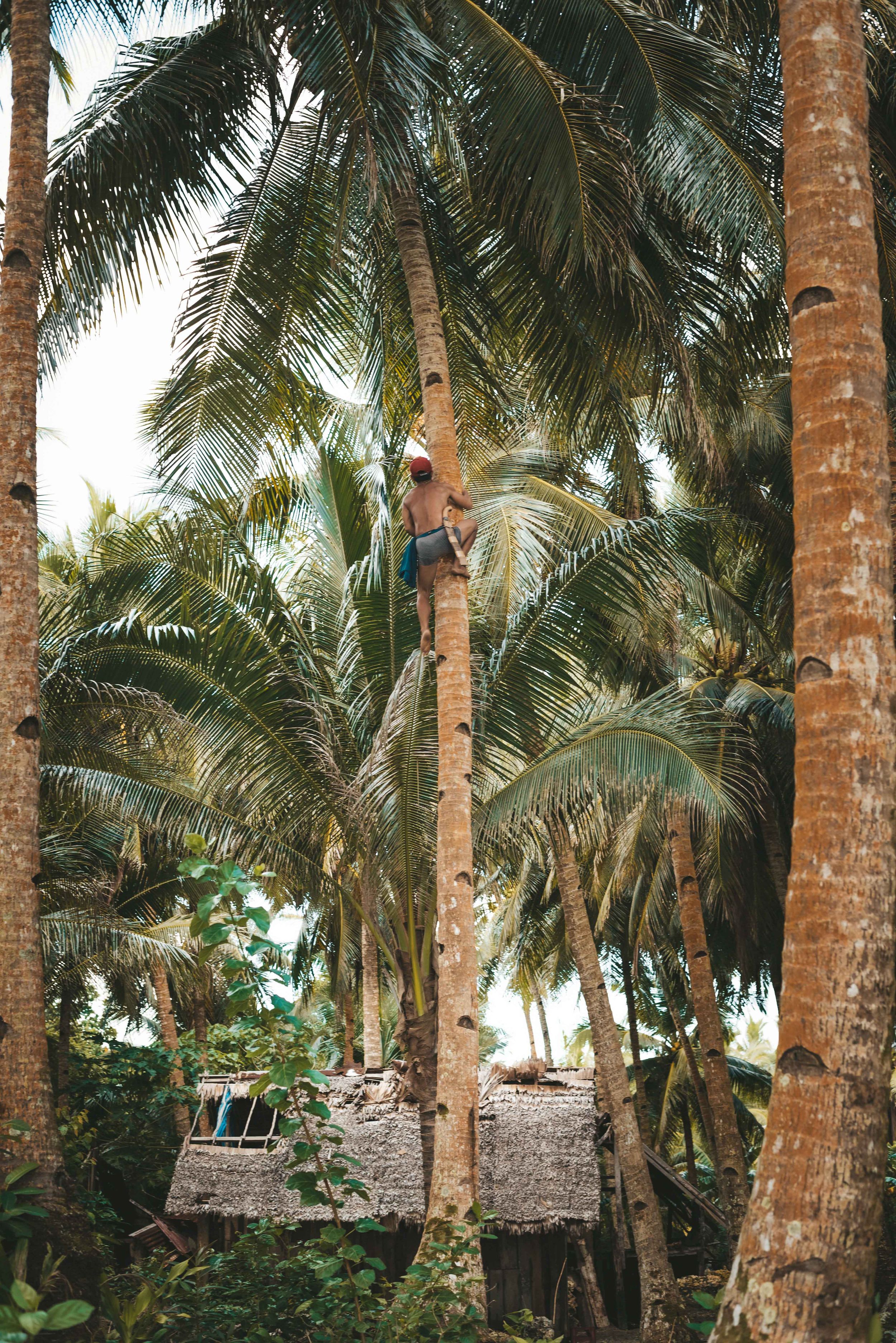 Siargao Surf Photographer, Surfing Photo and Video Sessions. Real Estate, Food, Products, Lifestyle. Postcards. Prints. Photo Stock, Siargao