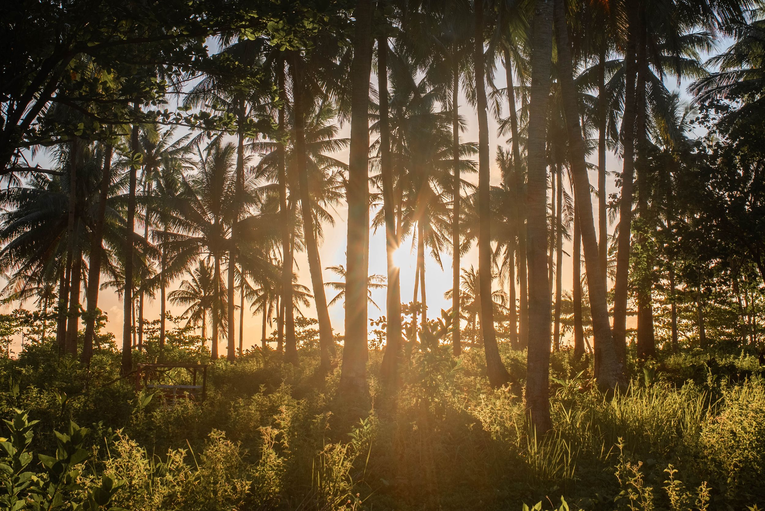 Siargao Surf Photographer, Surfing Photo and Video Sessions. Real Estate, Food, Products, Lifestyle. Postcards. Prints. Photo Stock, Siargao