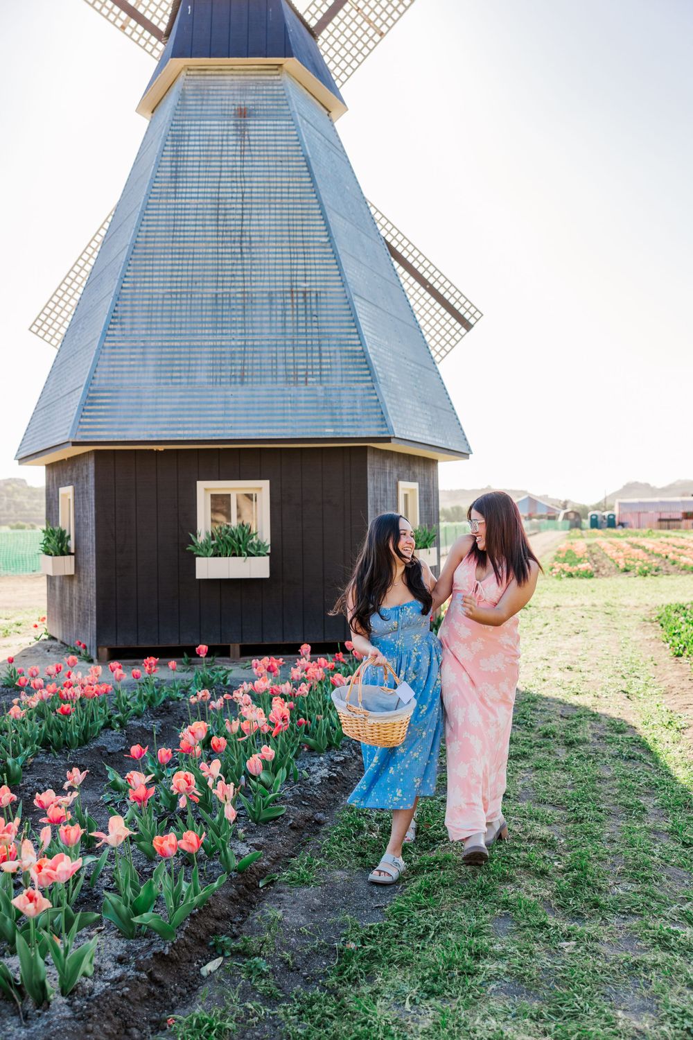 Two friends admiring tulip garden by rustic windmill on sunny spring day.Simi Valley Senior Photographer