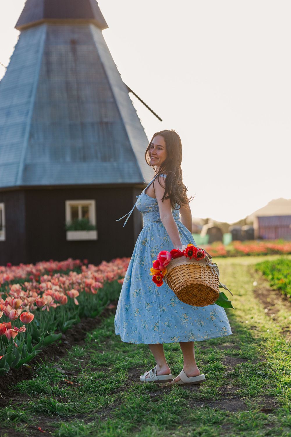 Blue dress-clad figure carrying basket of red flowers stands before traditional windmill at sunset.Simi Valley Senior Photographer