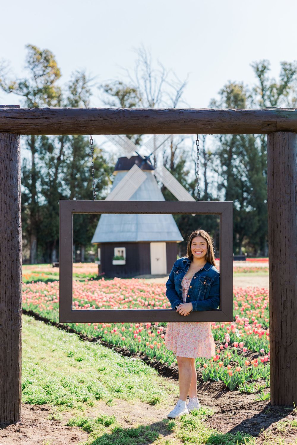 A decorative wooden frame creates a whimsical photo opportunity in front of a tulip field and barn house. Simi Valley Photographer