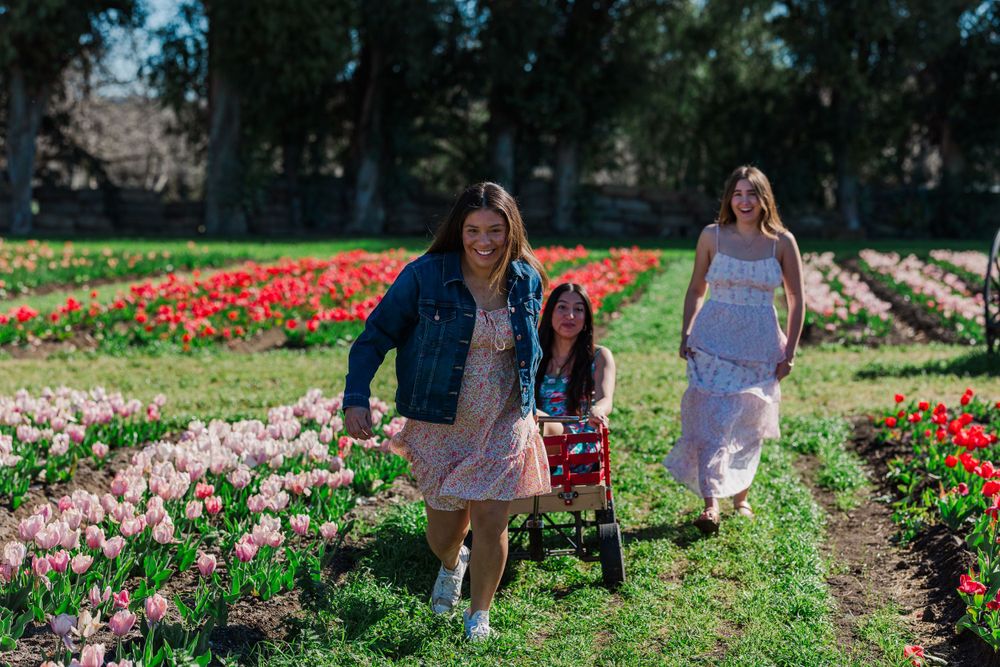 People walking through vibrant rows of red and pink tulips in a sunny spring garden. Simi Valley Senior Rep Team. Simi Valley Photographer
