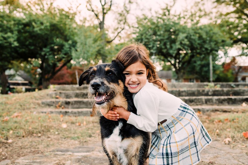 A black and white dog and companion embrace outdoors on stone steps surrounded by greenery at sunset.