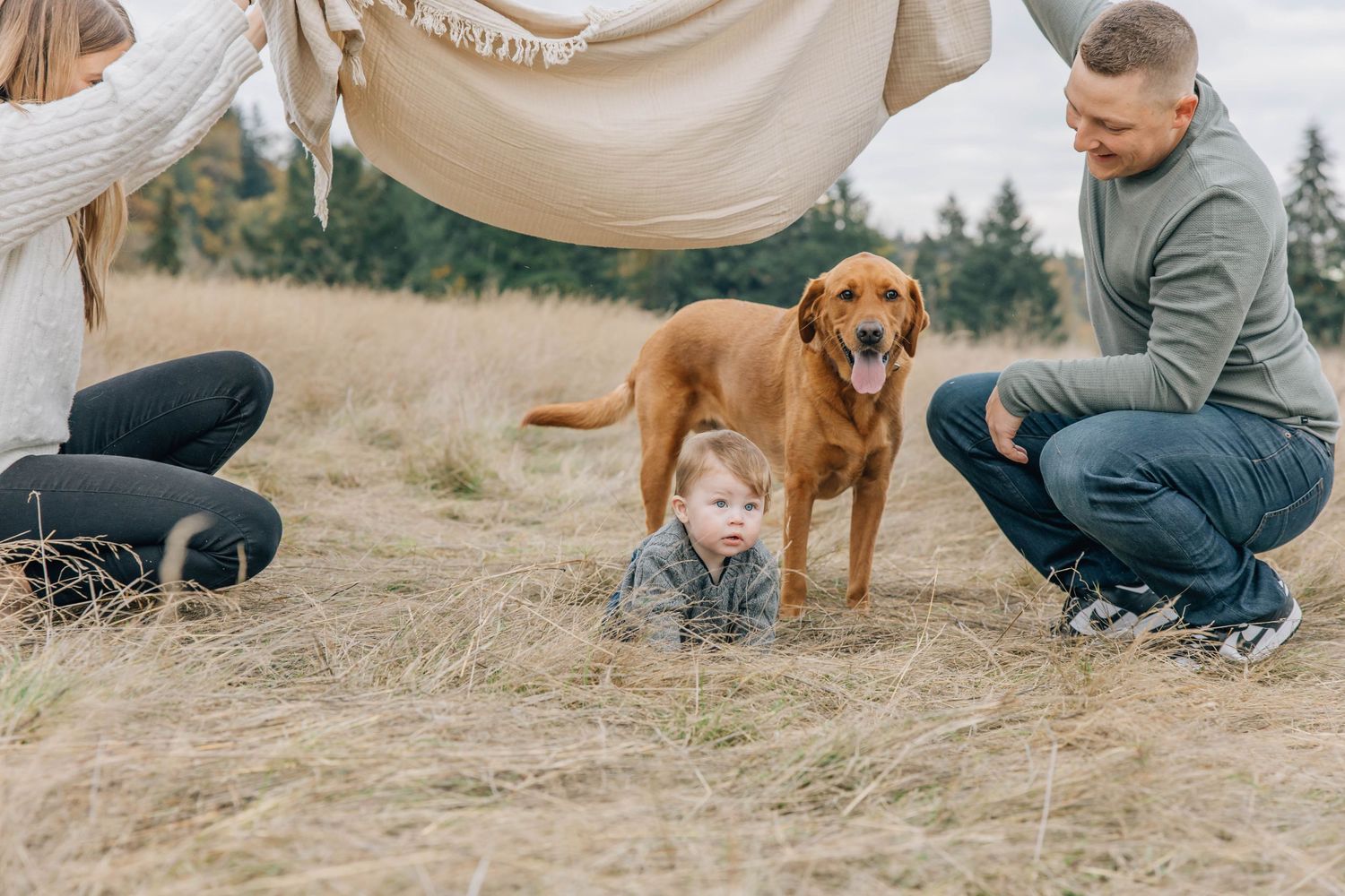 Parents playing with blanket over toddler and golden retriever dog in autumn field.