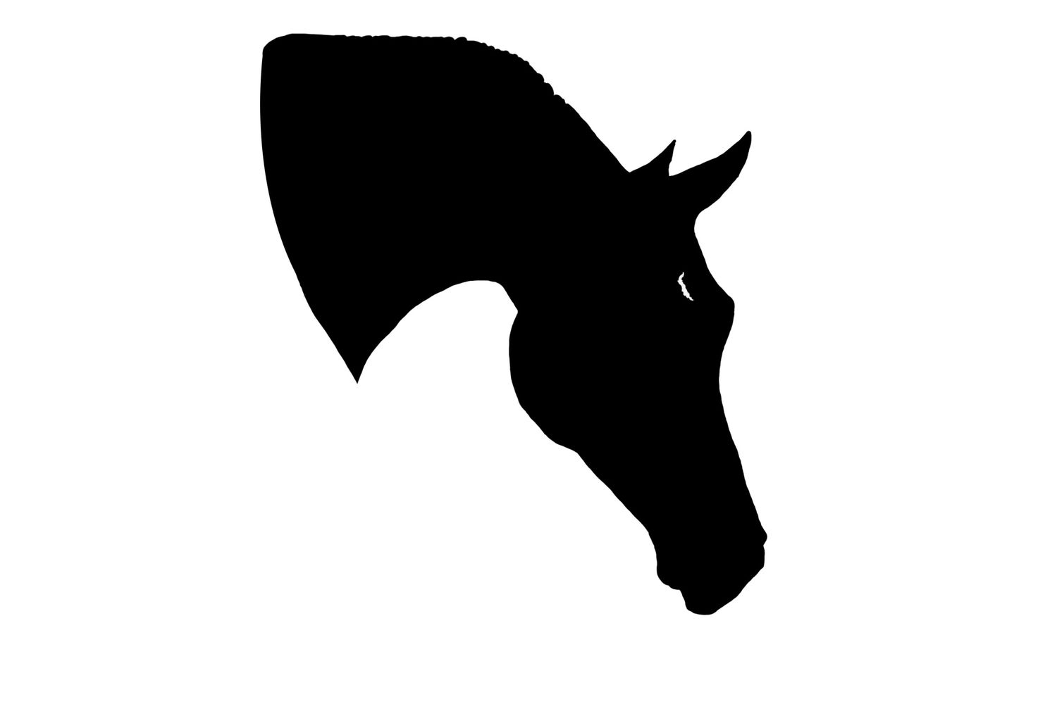 Silhouette of a horse's head in black against a light background.