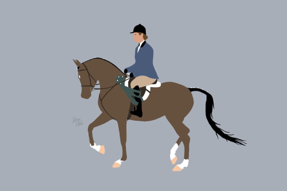 Sequence showing a horse and rider performing dressage movements on blue background.