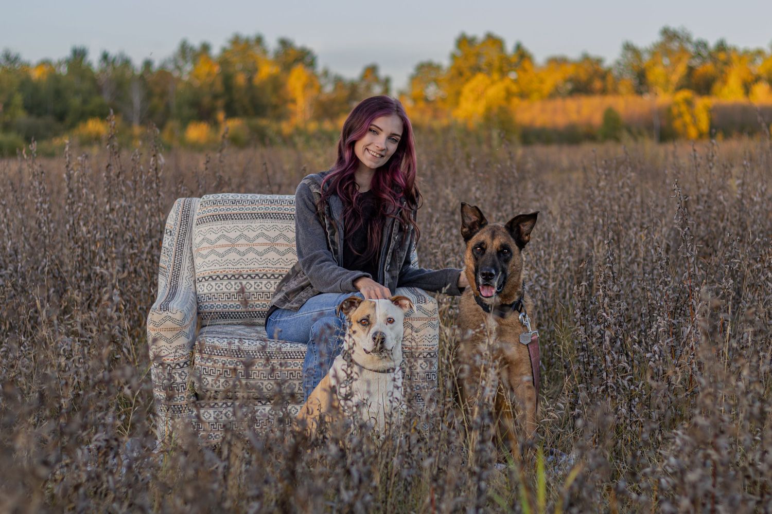 Young woman with purple hair sitting in armchair in autumn field with two dogs.