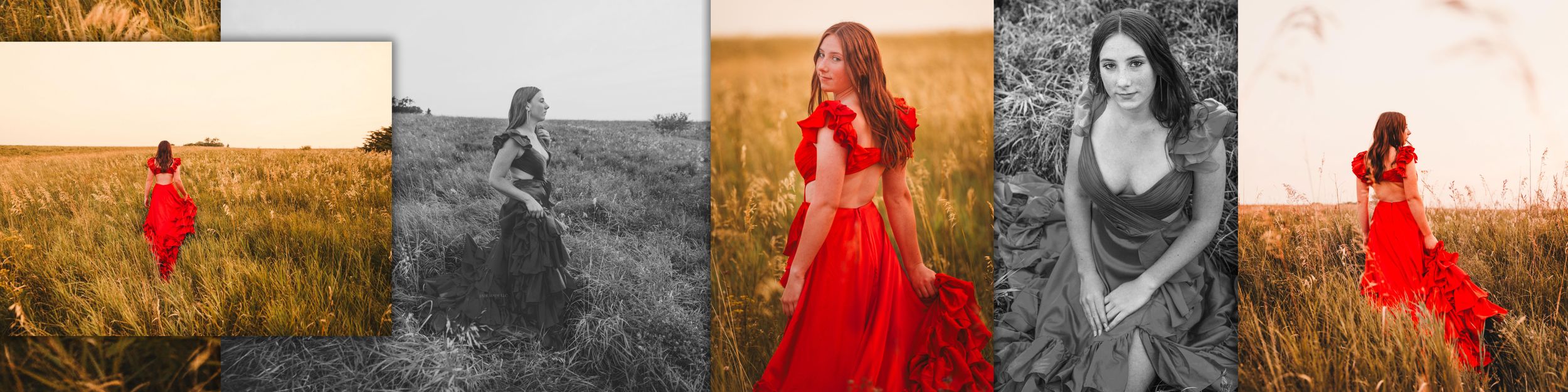 A series of outdoor portraits featuring people in golden fields at sunset with warm, glowing light and dramatic poses.