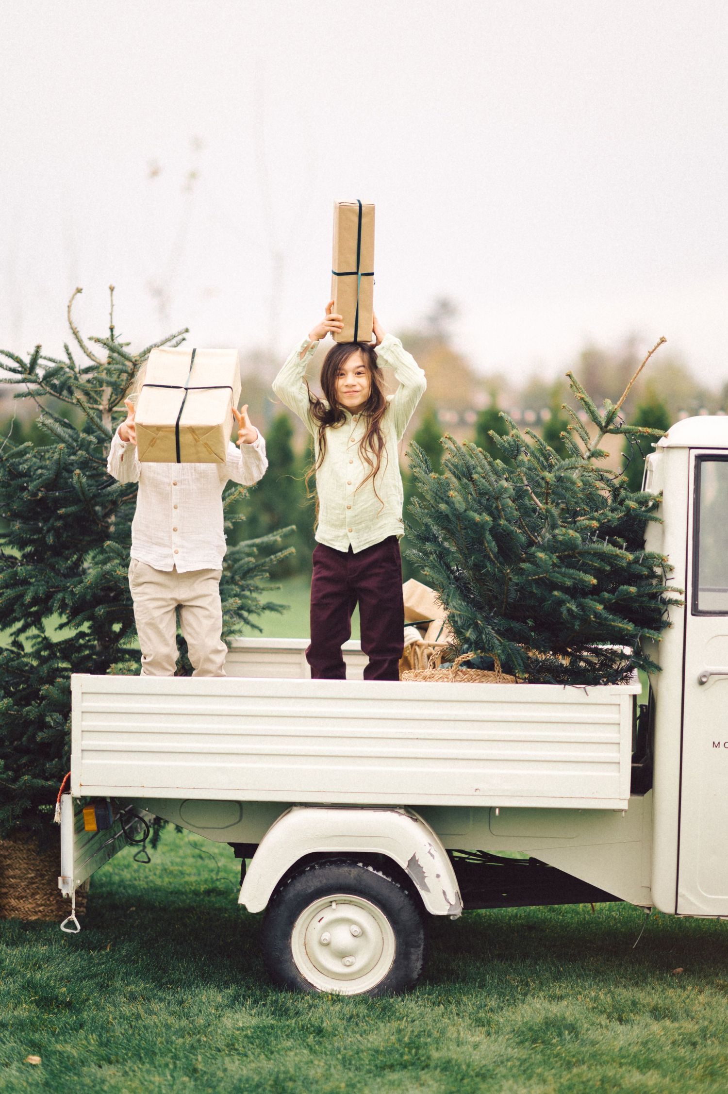A white utility truck parked near Christmas trees at a tree farm, shown from multiple angles.