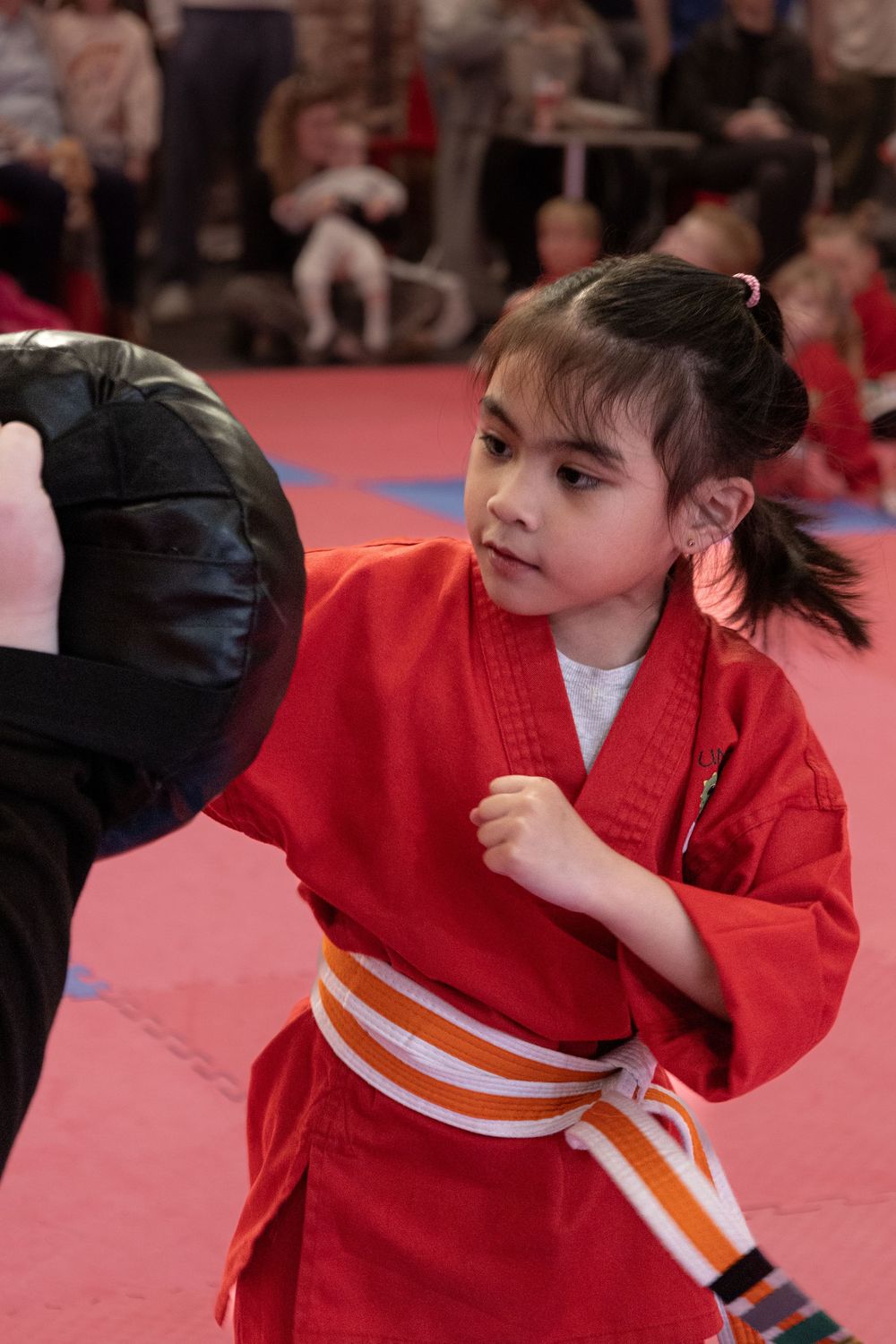 unite martial arts southport
