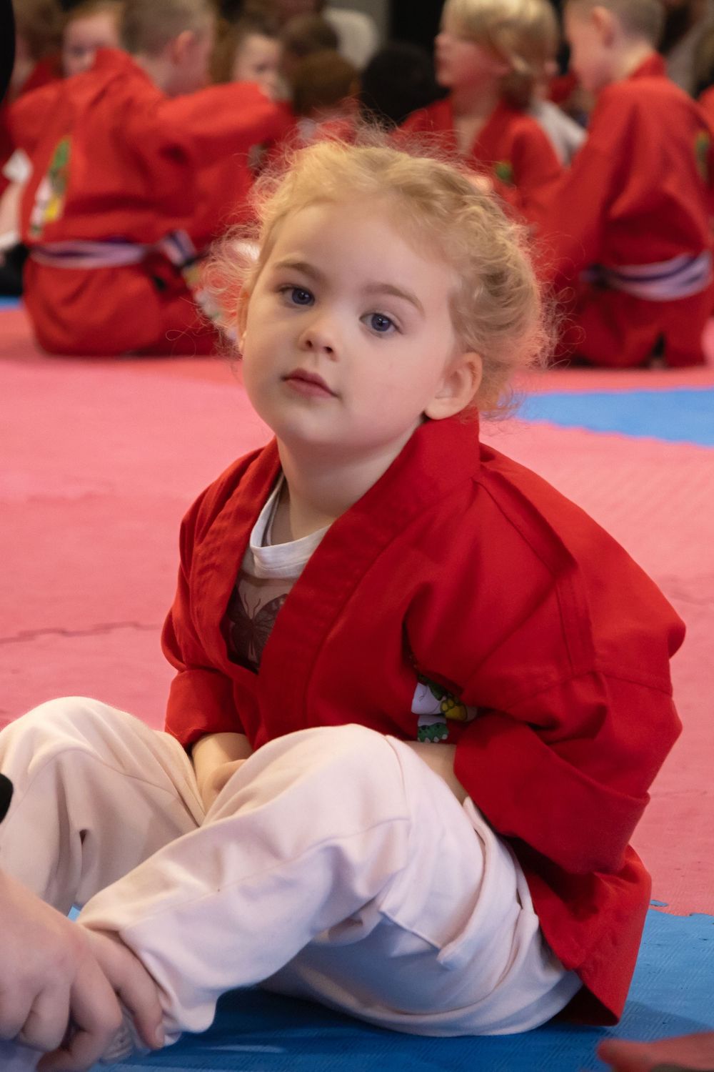 martial arts southport