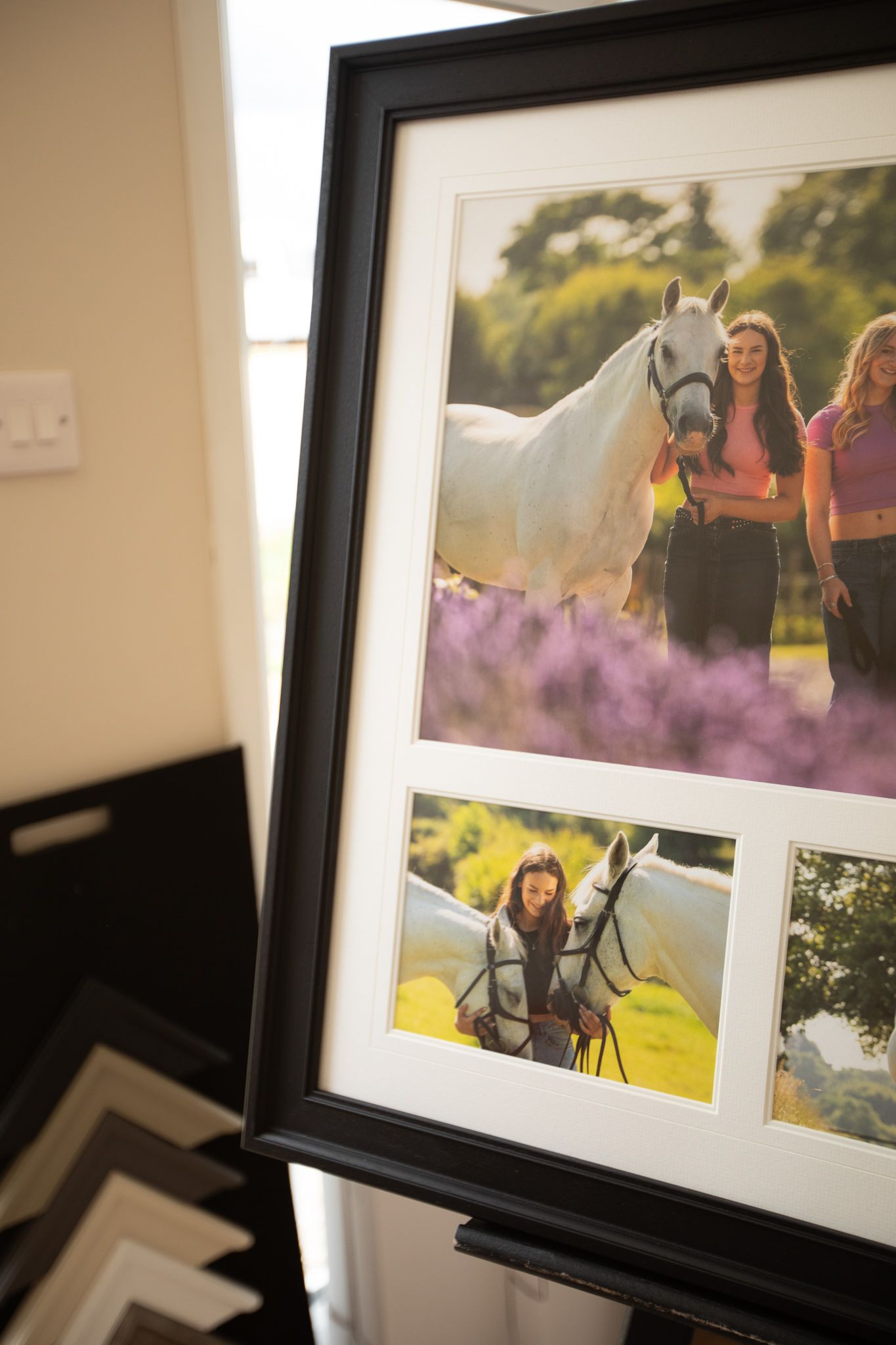 A row of black framed photographs displaying nature and art pieces hang on a white wall in gallery style.