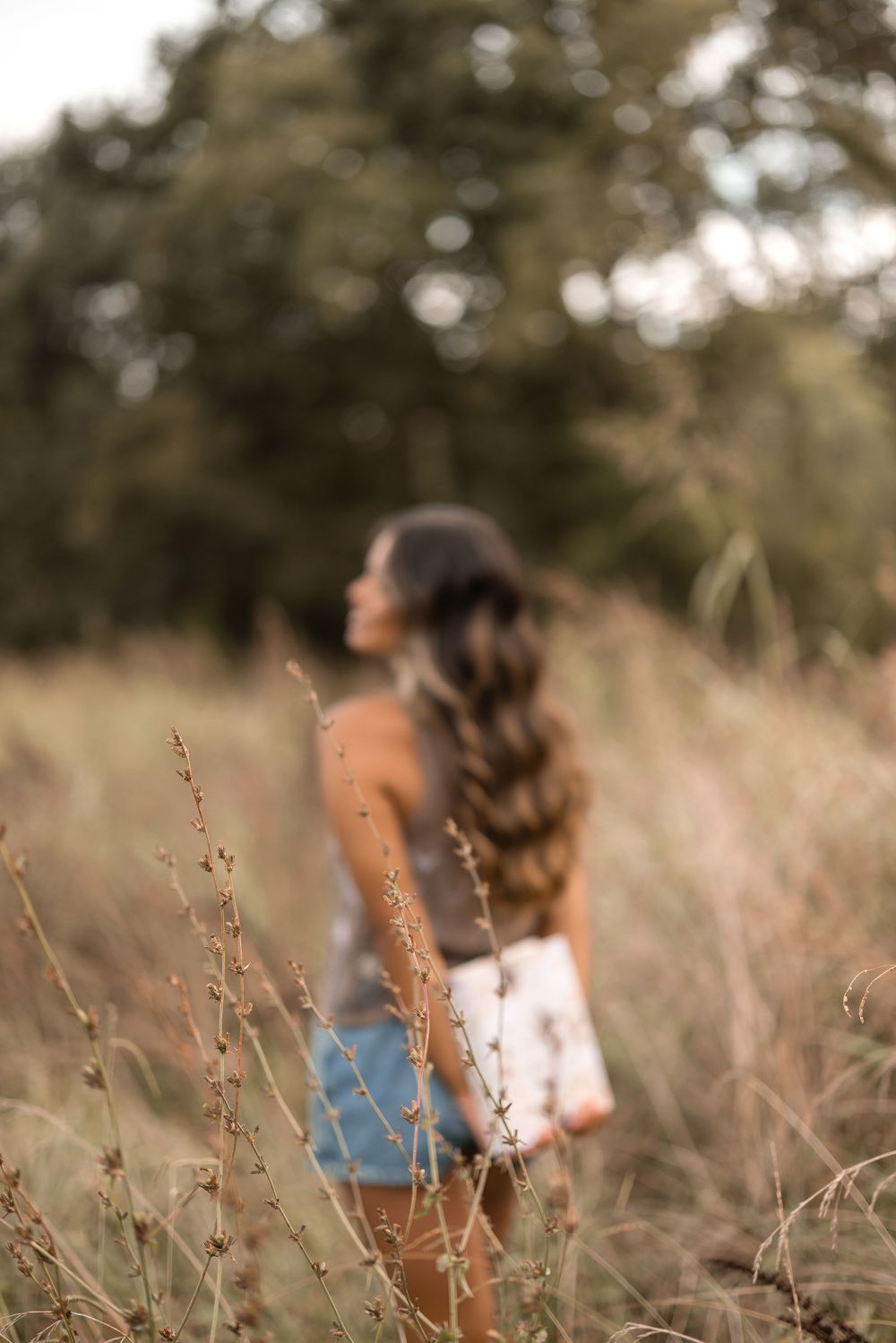 A woman with long wavy hair sits in a sunlit field of tall grass during golden hour.