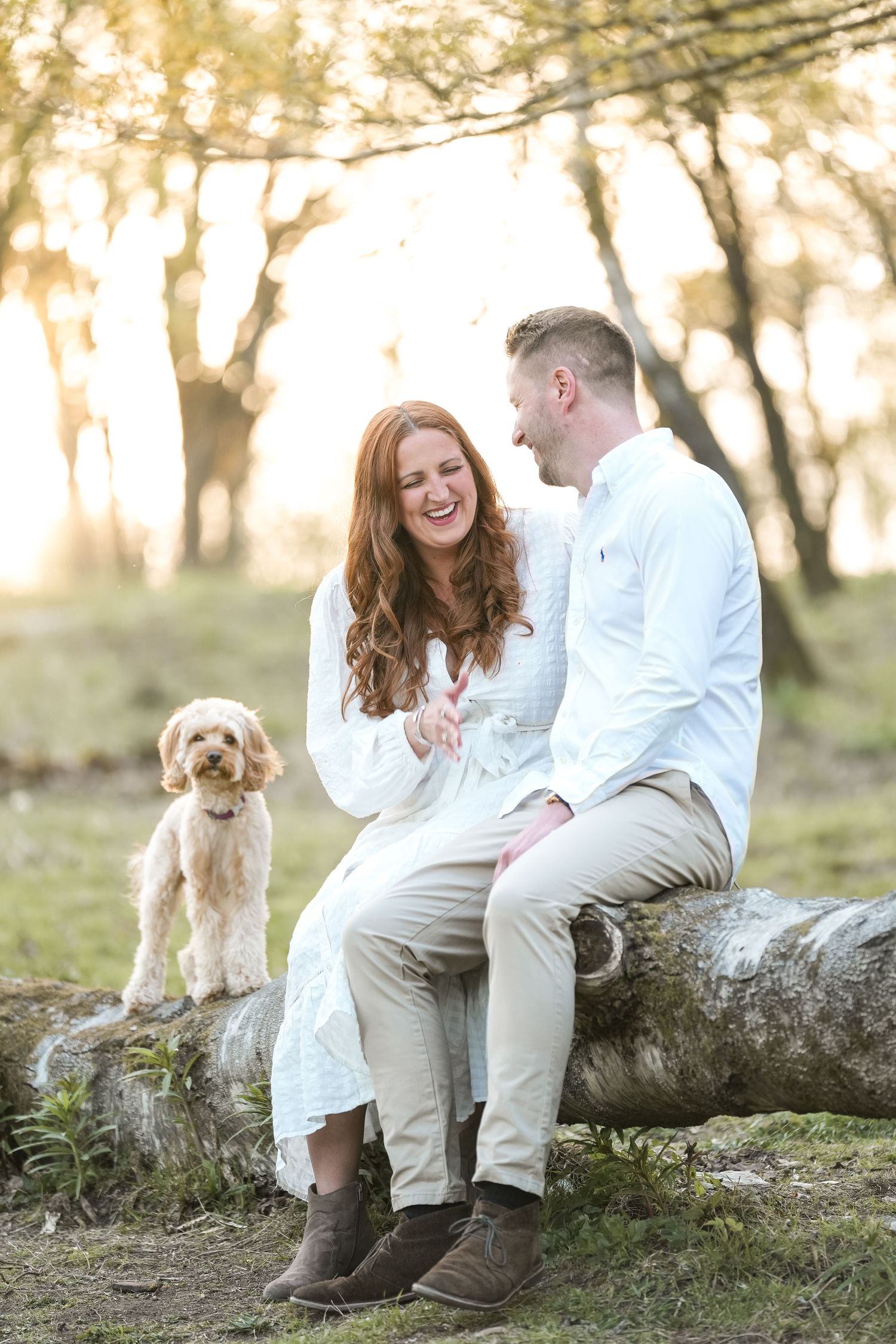 A couple sits on a fallen log in a sunlit forest with their small goldendoodle puppy during an engagement photoshoot.