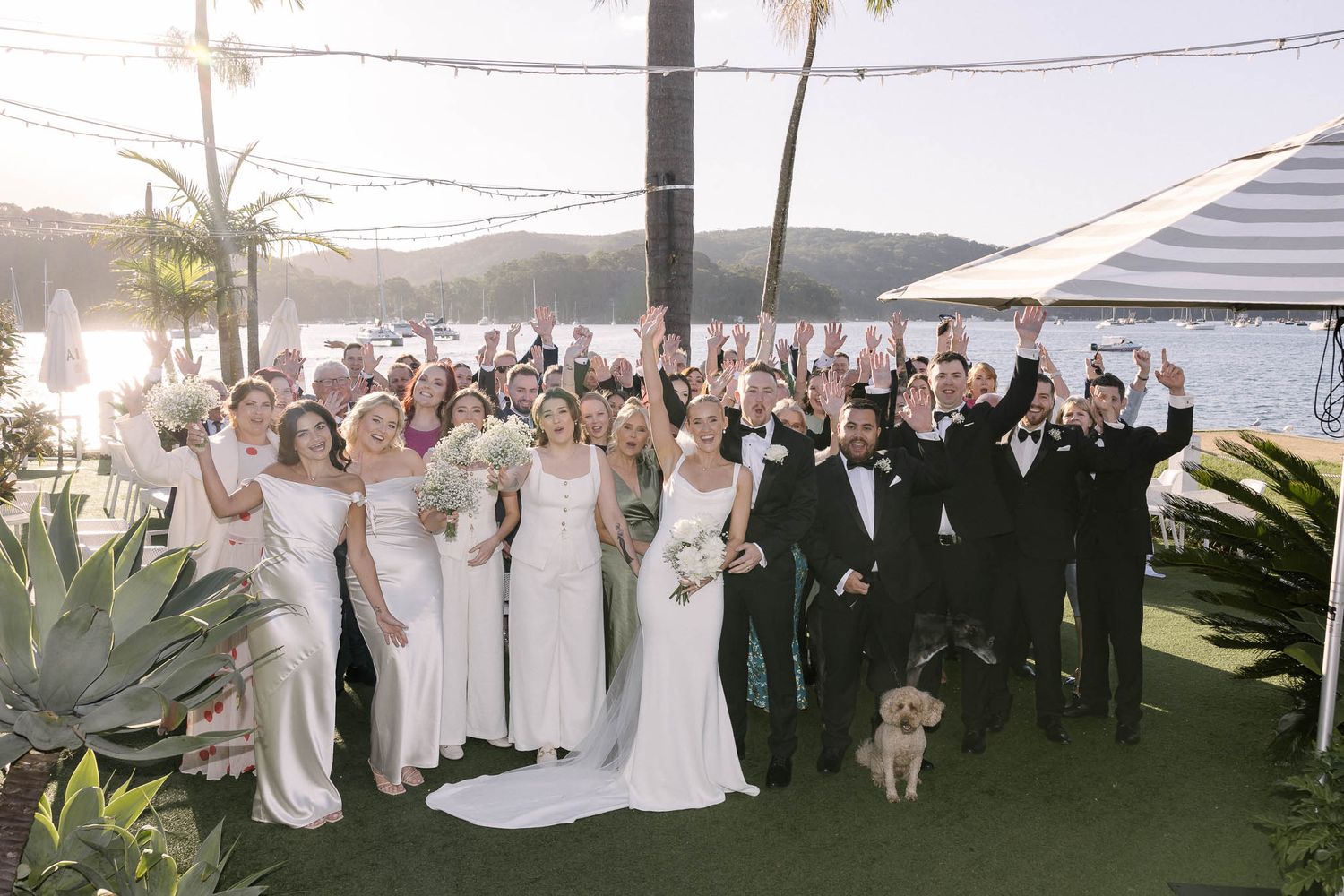 group photo at a wedding with a Sydney bay in the background