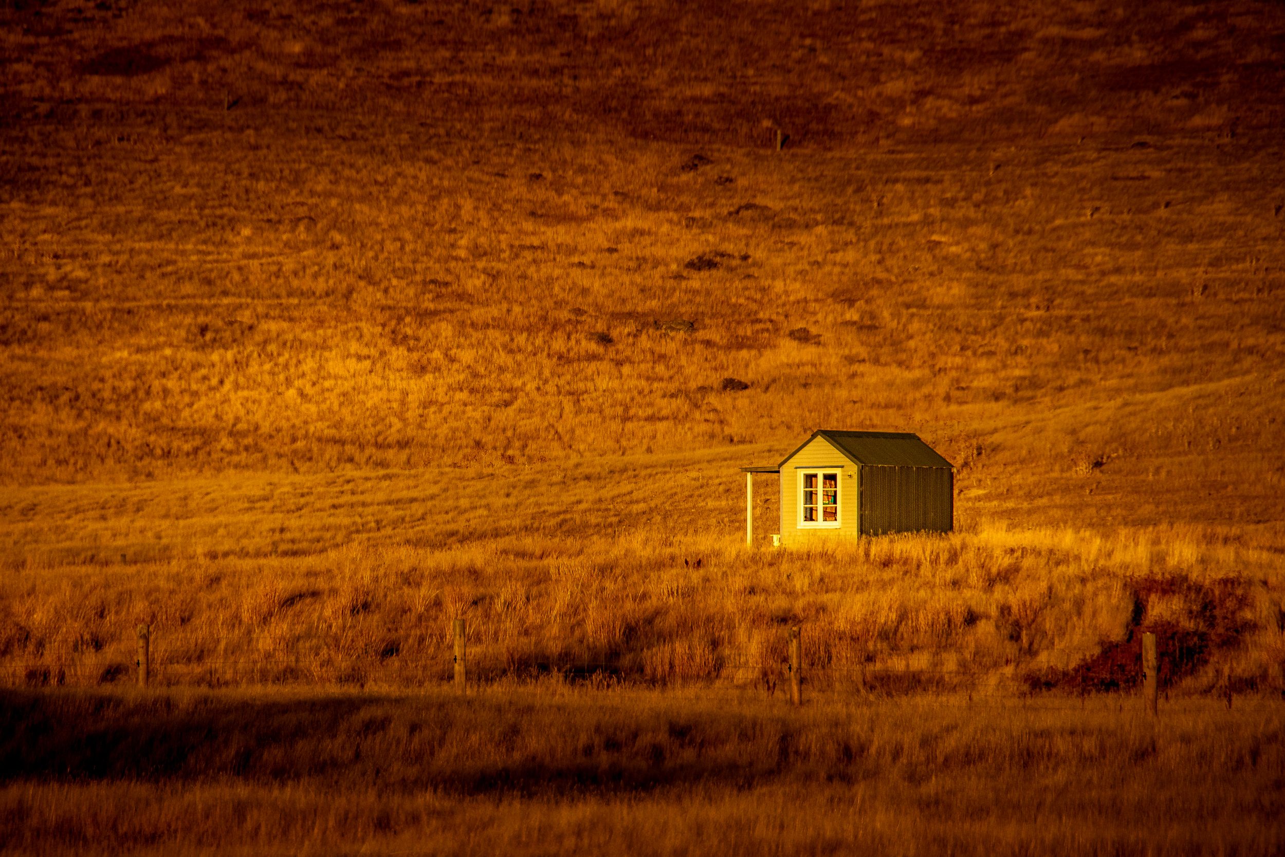 Cabane isolée dans les plaines dorées de Nouvelle-Zélande au coucher de soleil, ambiance minimaliste et chaleureuse
