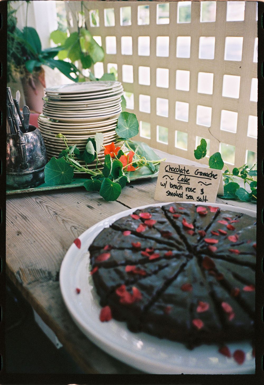 The Chocolate torte adorned with edible flowers during an engagement party celebration at a wine bar in Brunswick, Maine on 35mm film.