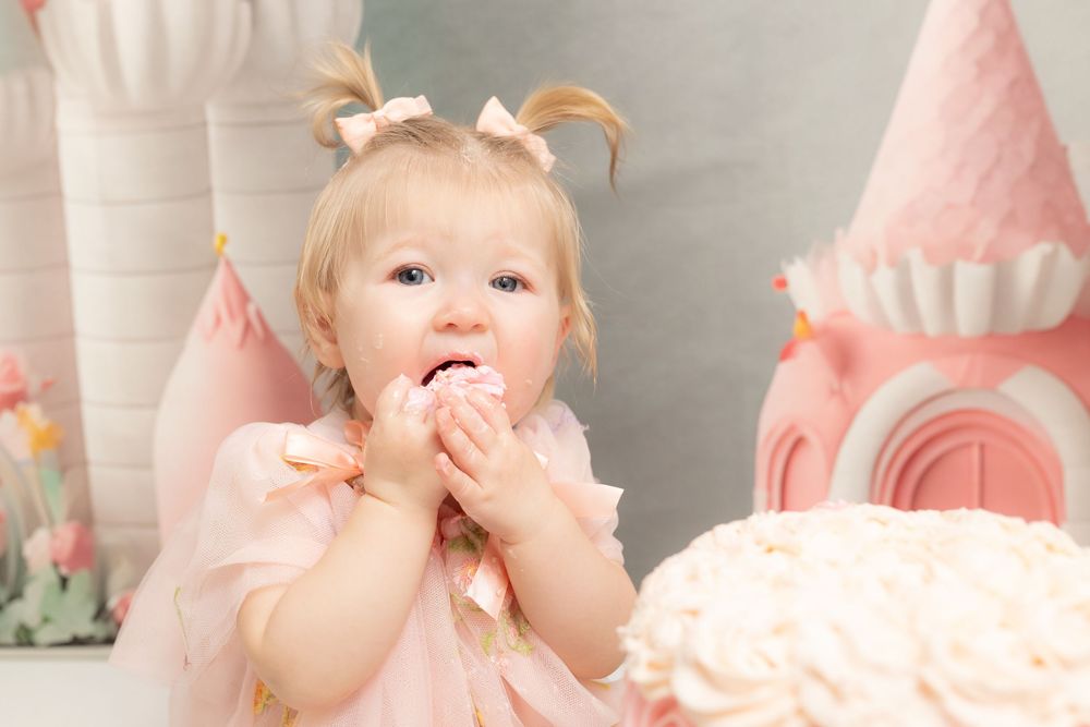 first birthday studio milestone session for baby. cake smash photographer and swansboro studio Samantha Ann photography