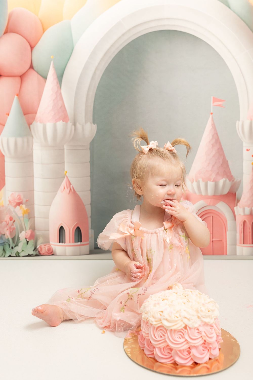 first birthday studio milestone session for baby. cake smash photographer and swansboro studio Samantha Ann photography