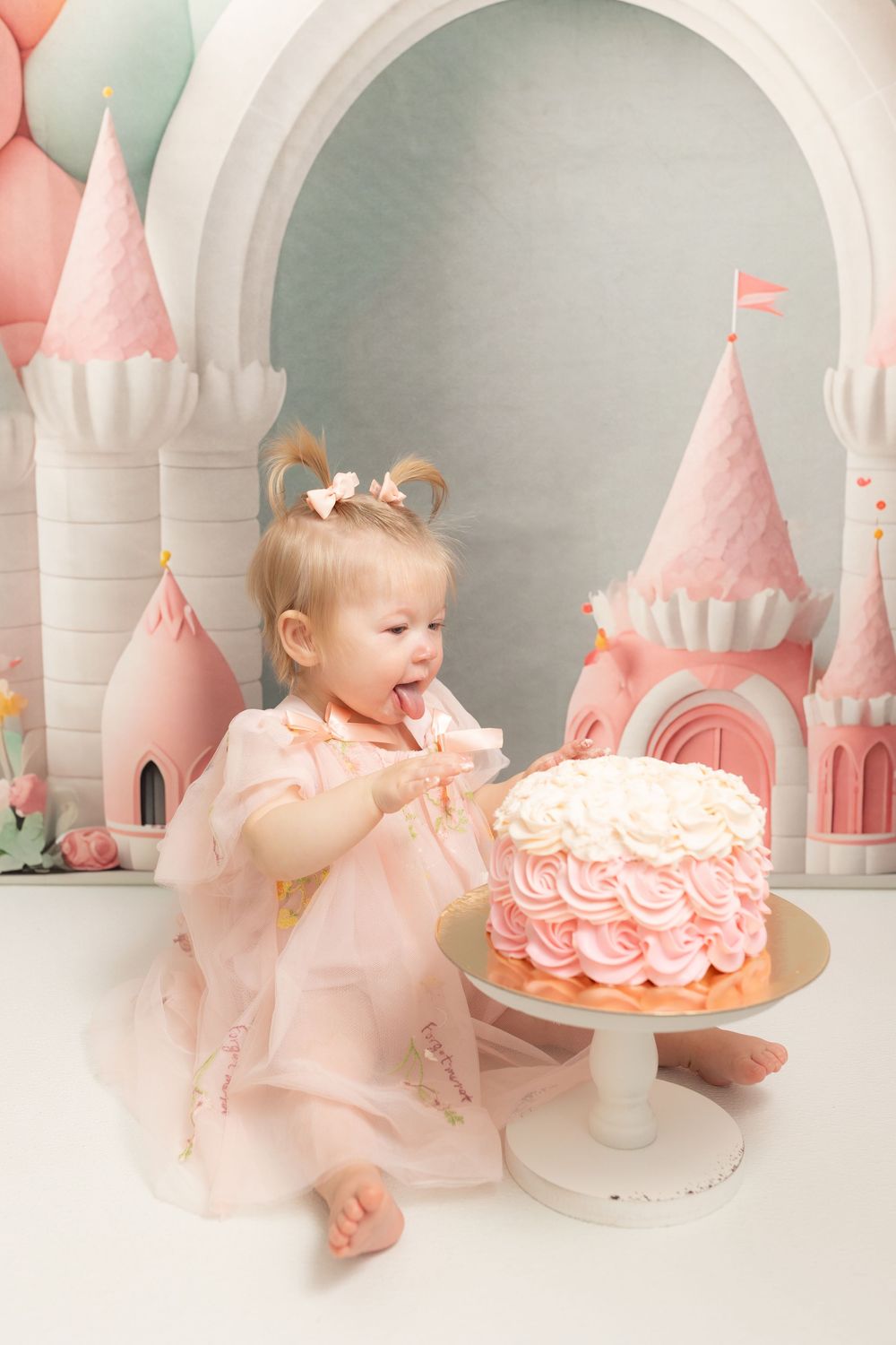 first birthday studio milestone session for baby. cake smash photographer and swansboro studio Samantha Ann photography