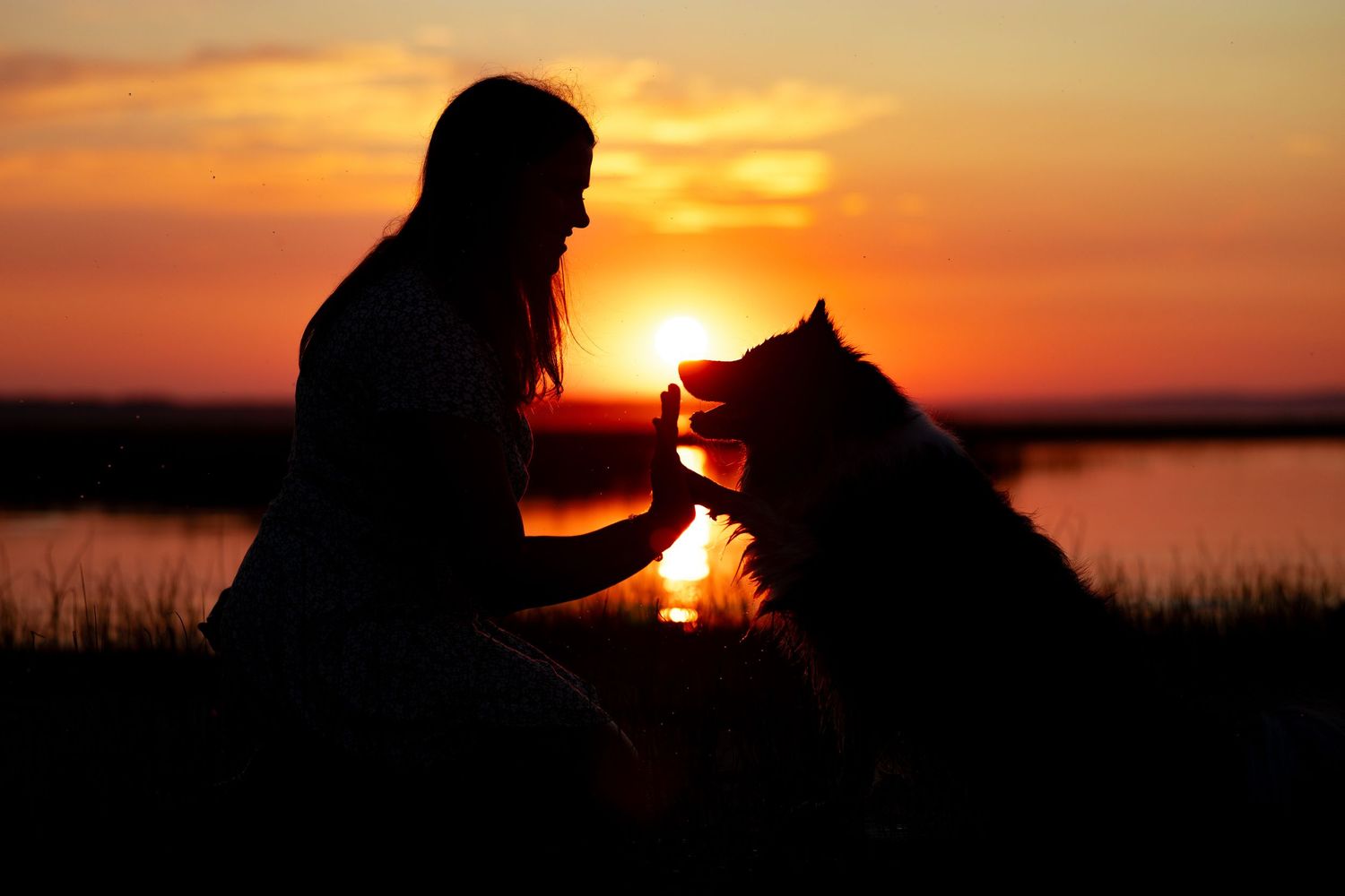 A silhouette of a person petting a dog during a beautiful sunset.