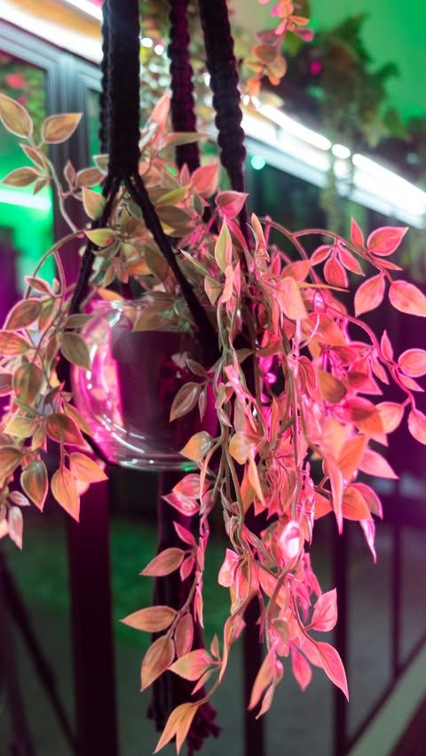 Hanging artificial plant with pink-tinted leaves illuminated by studio lighting.