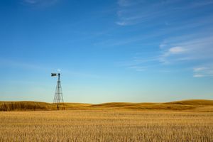 A metal windmill stands tall in a golden wheat field under bright blue sky in rural farmland.