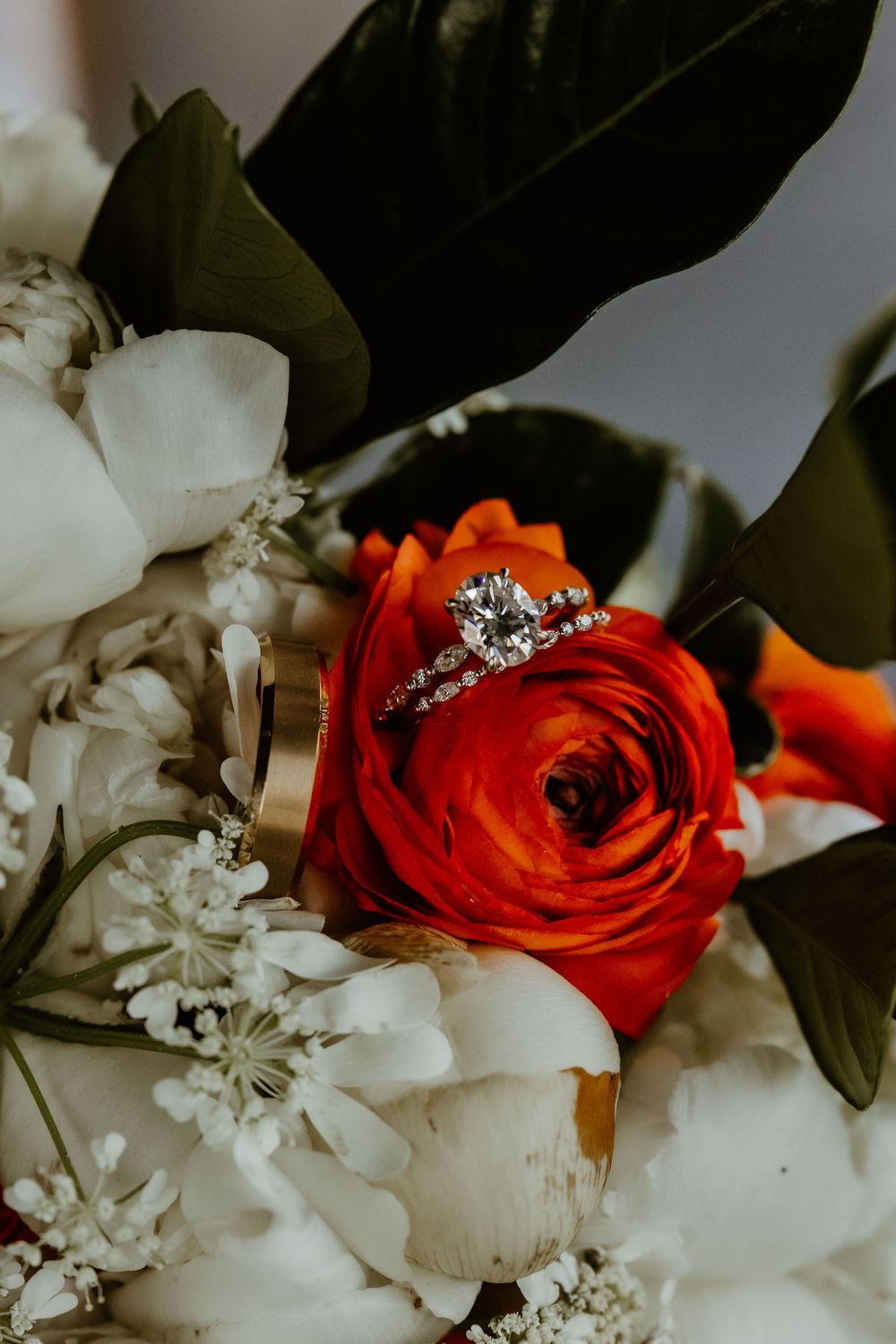 Diamond engagement ring nestled among red and white roses in romantic wedding detail shot.