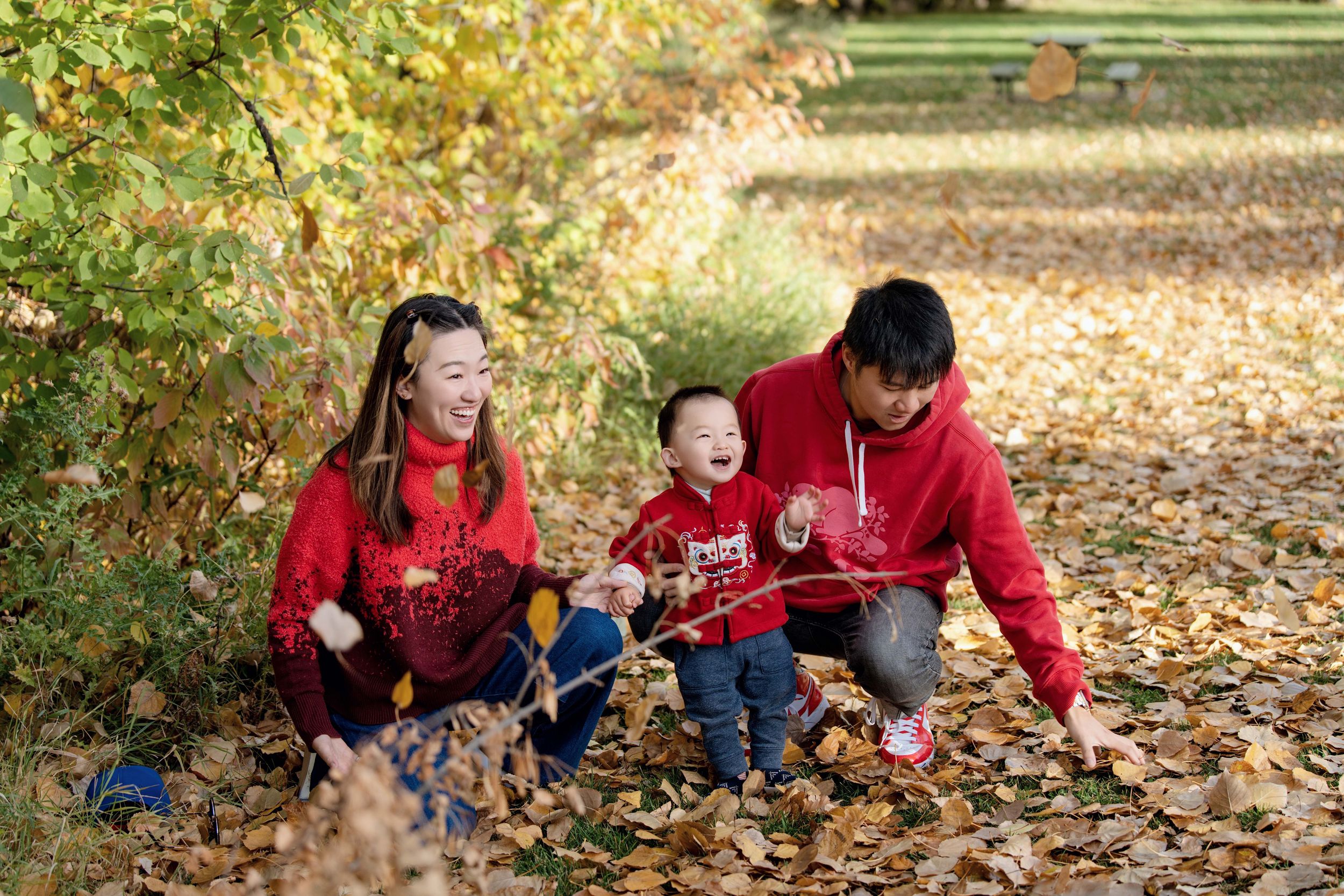 Calgary family photos, Calgary family photographer, Calgary affordable photographer