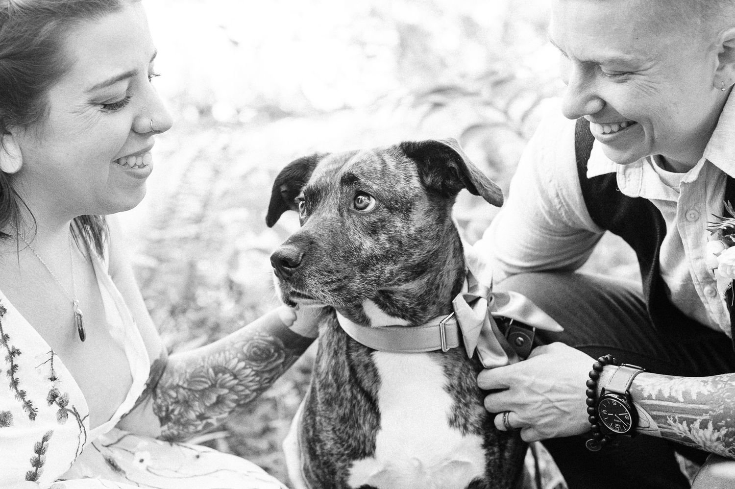 two brides with their dog