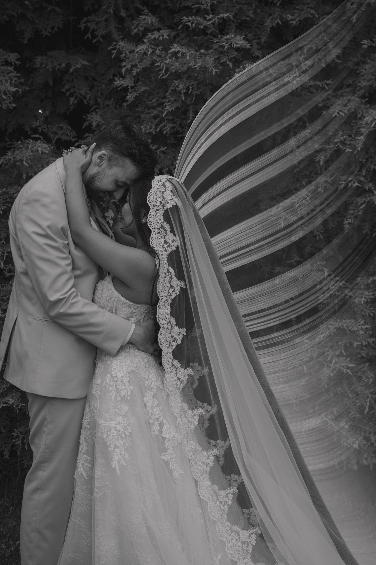 Black and white photo of bride and groom embracing outdoors, with lace veil flowing dramatically in the wind.