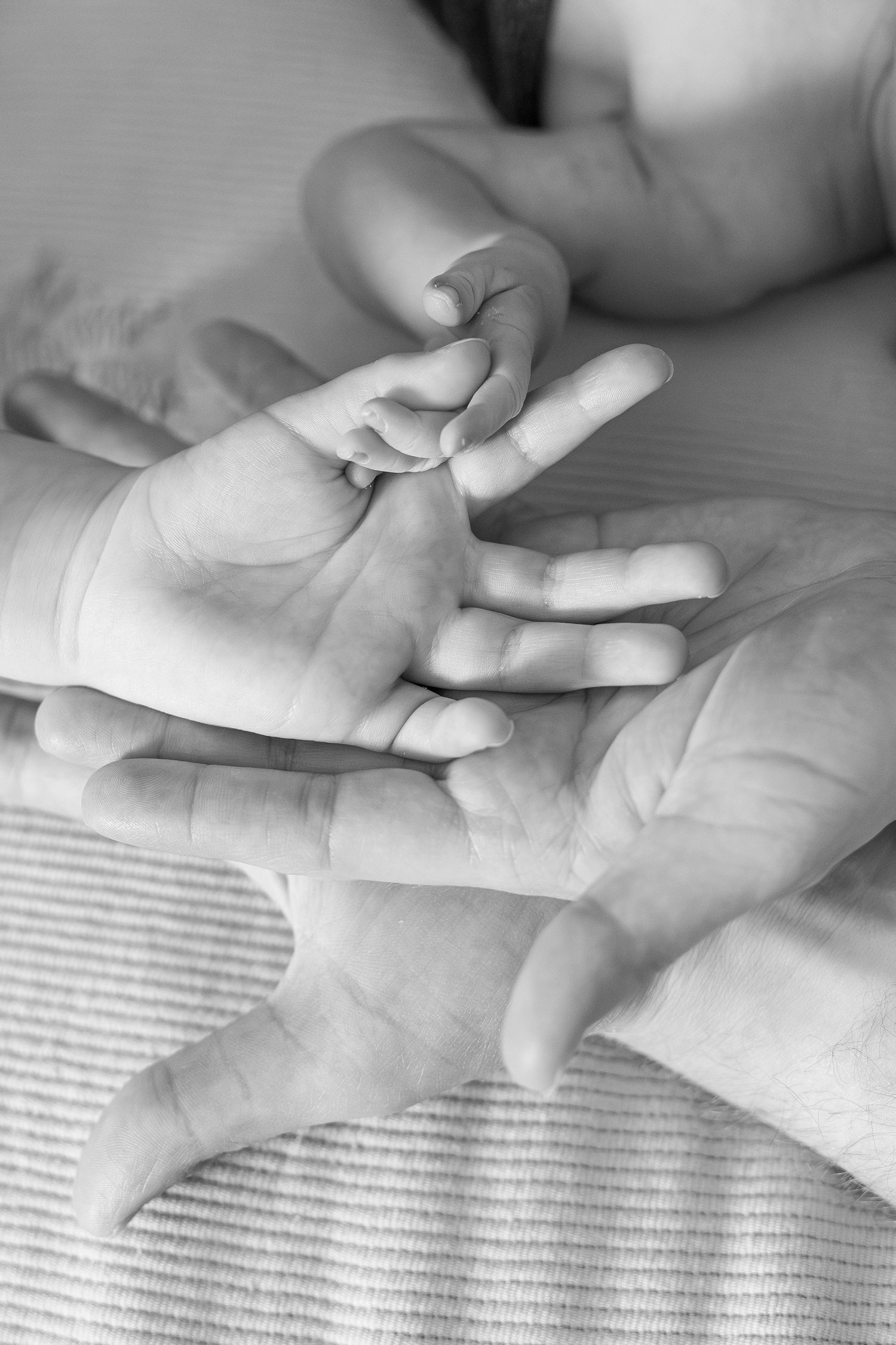 Lifestyle in-home newborn session O'fallon, Illinois