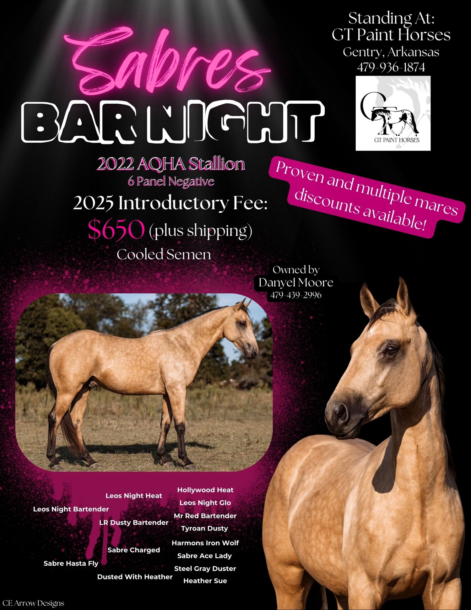 Promotional flyer for Sabres Bar Night featuring a golden buckskin stallion.