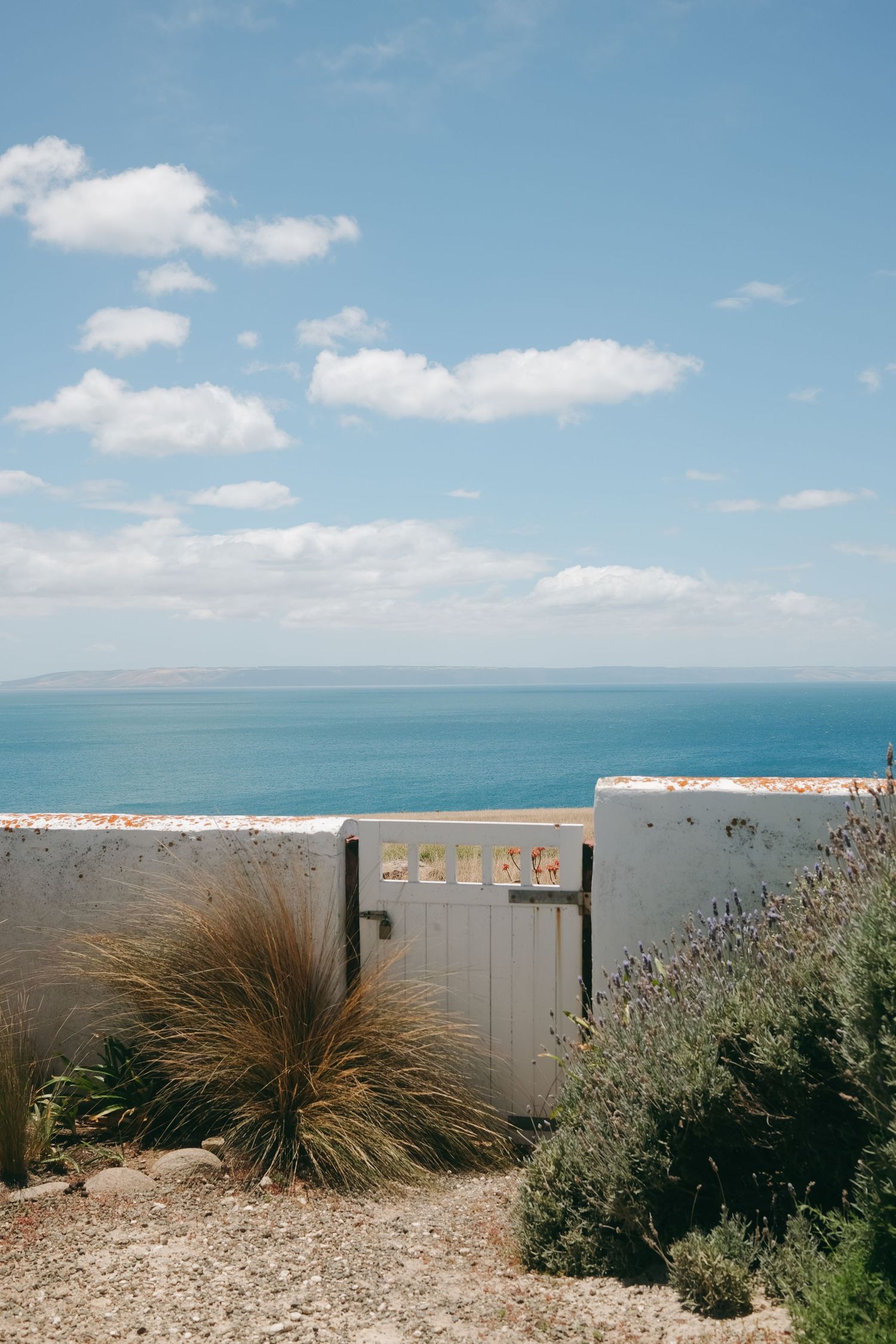 Raya Langdon Photography