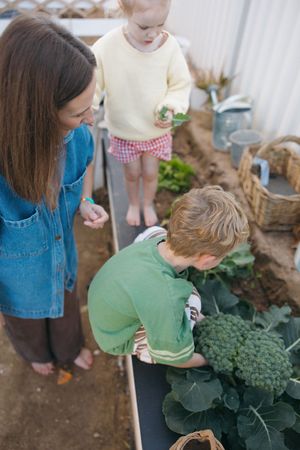 Someone in a denim jacket helps a small child water plants in a garden bed.