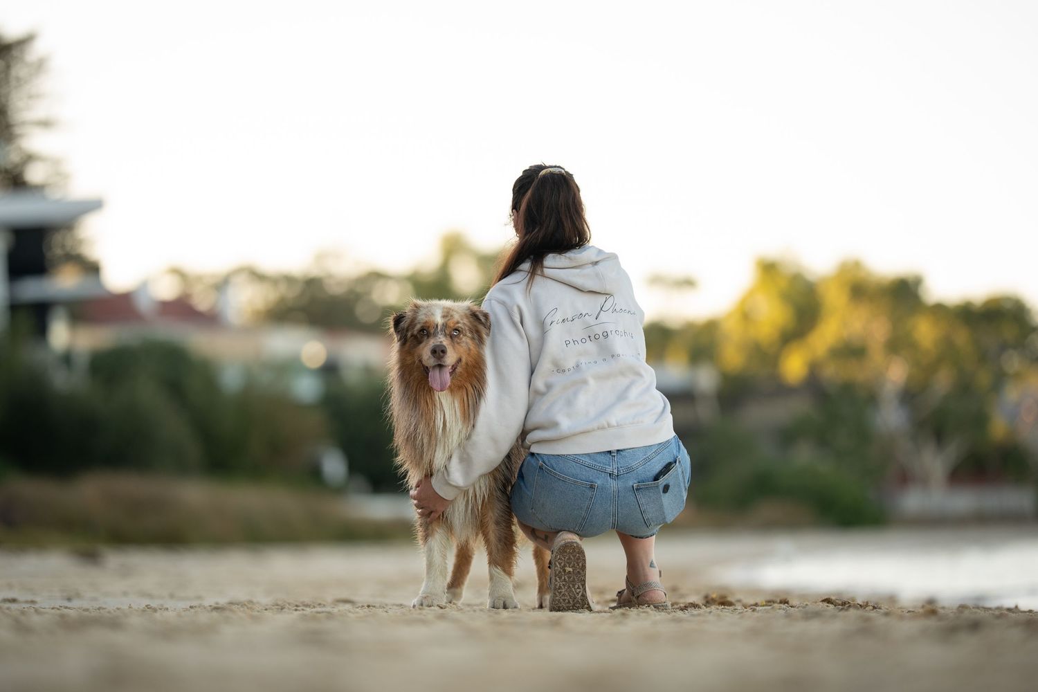 A person and dog sit together on a sandy beach at sunset watching the peaceful ocean view. Photograph by Haggie Snaps Photography
