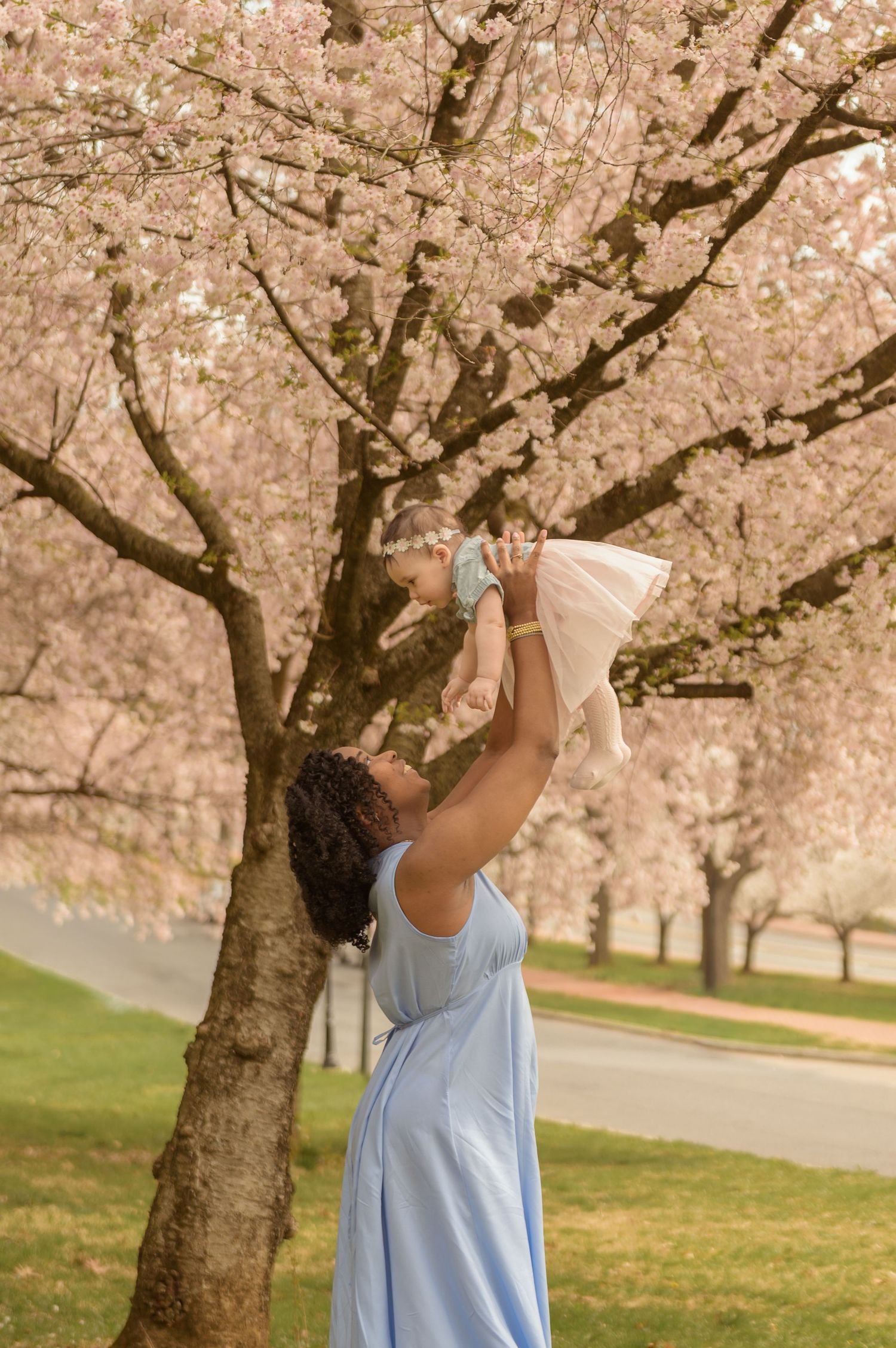 A woman in a blue dress lifts a baby under cherry blossom trees in full pink bloom.