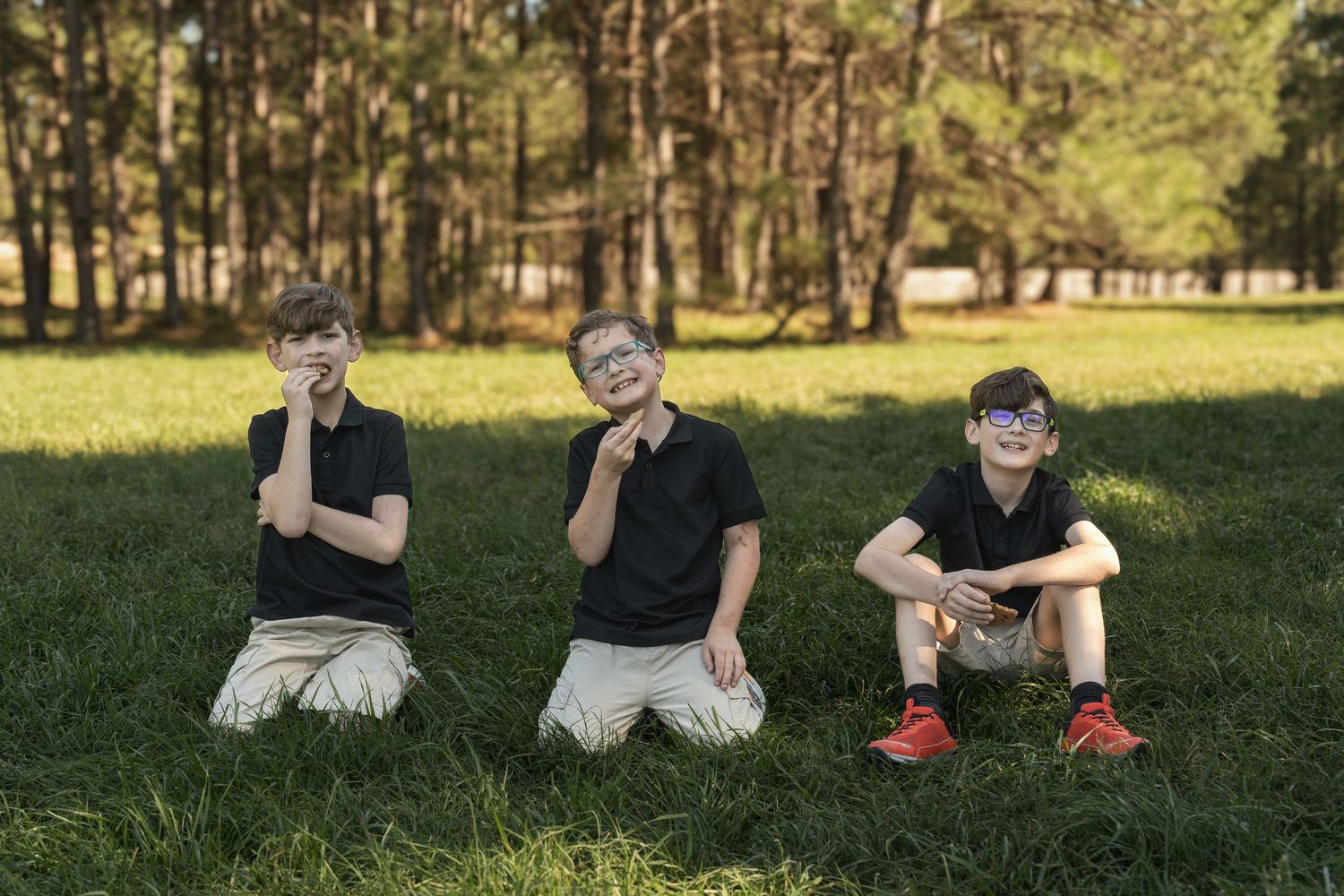 A series of candid moments captured in a park setting with people sitting on grass in casual outdoor attire.
