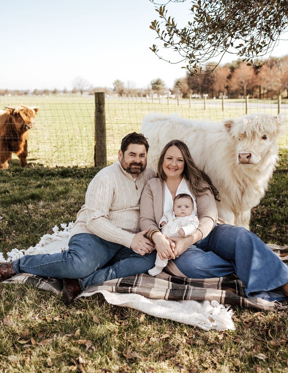 Family sitting on blanket outdoors with two large fluffy dogs on a sunny autumn day.