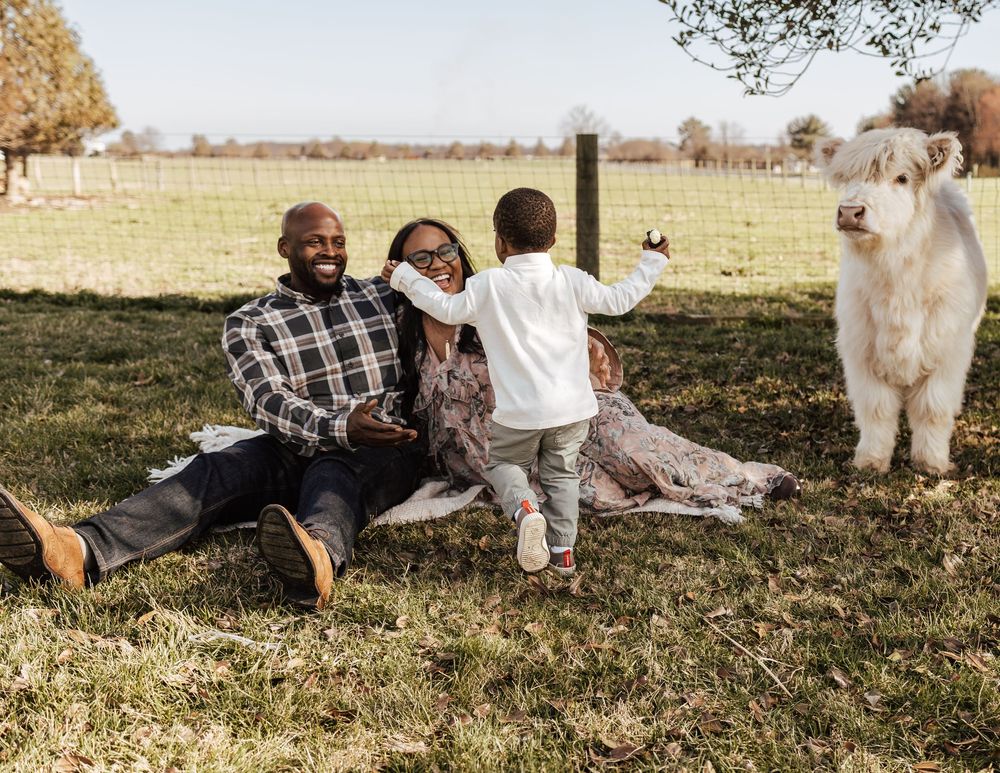A series of candid outdoor photos showing people and dogs playing together in a grassy field on a sunny day.
