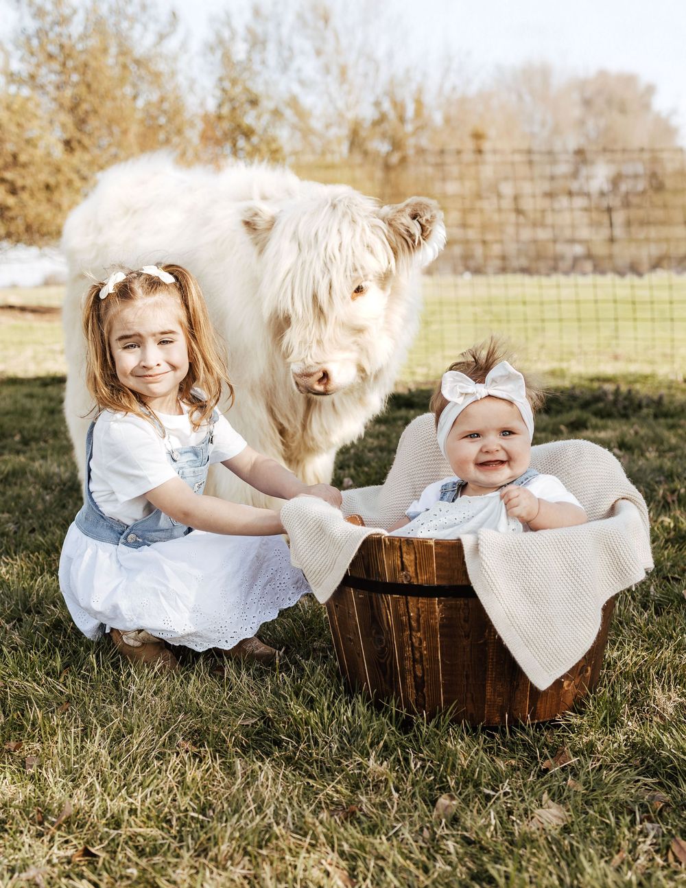 A miniature white pony stands in a grassy field next to a wooden barrel on a sunny autumn day.