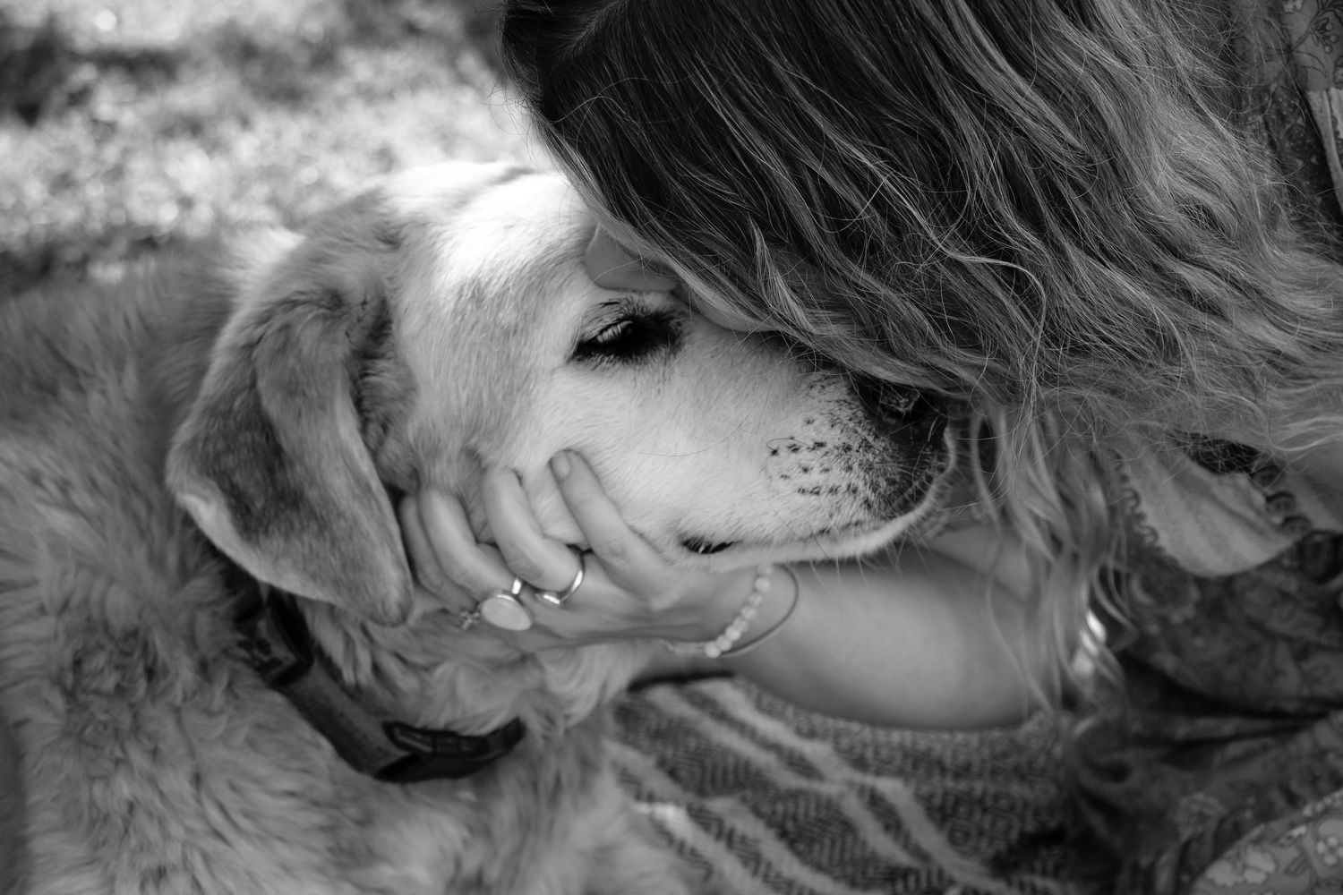 End of Life Dog Photography